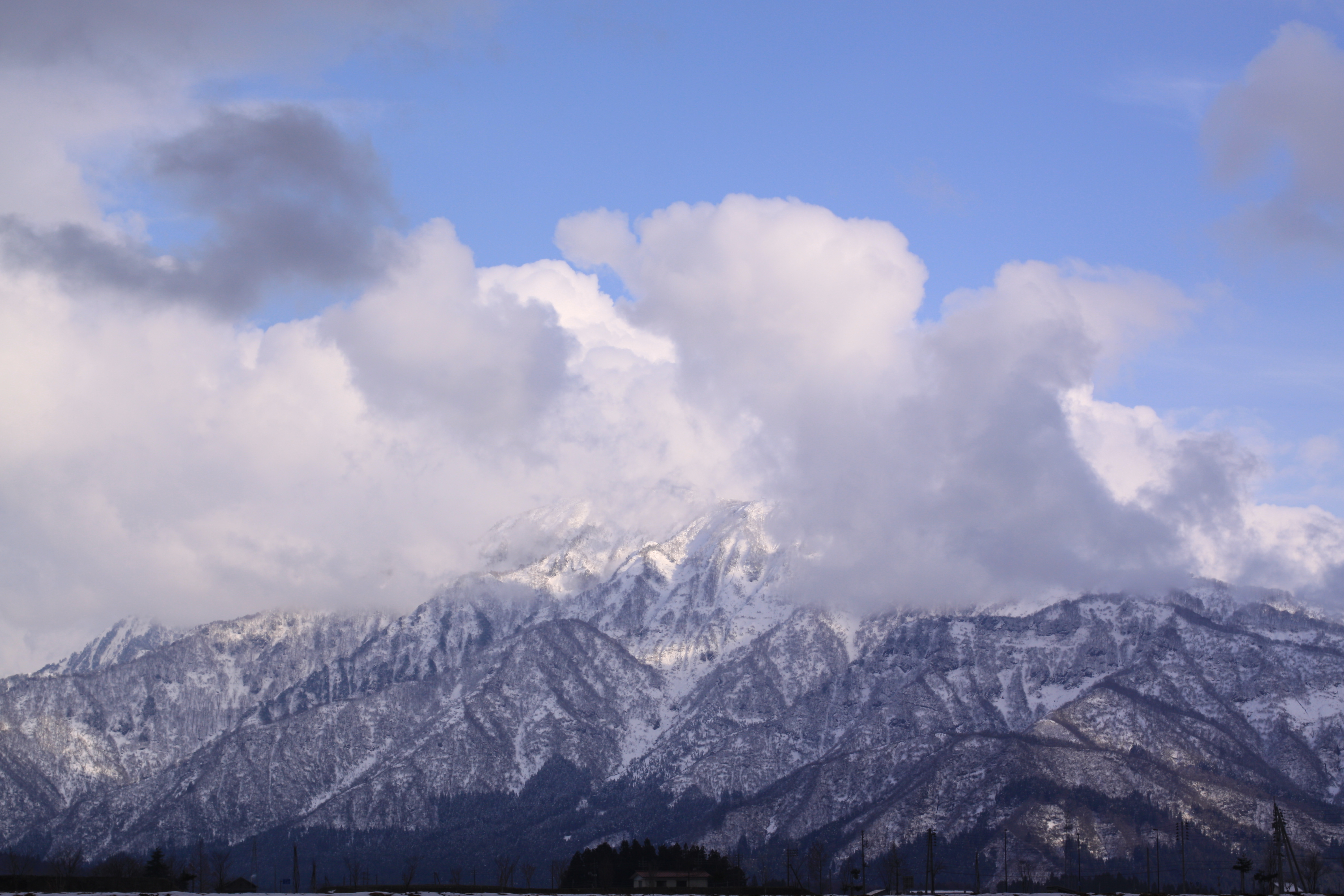 <b>EOS 50D / EF 50mm F1.4 USM / 約4.3MB / 4,752×3,168 / 1/400秒 / F8 / 0EV / ISO100 / WB:太陽光 / 50mm</b>