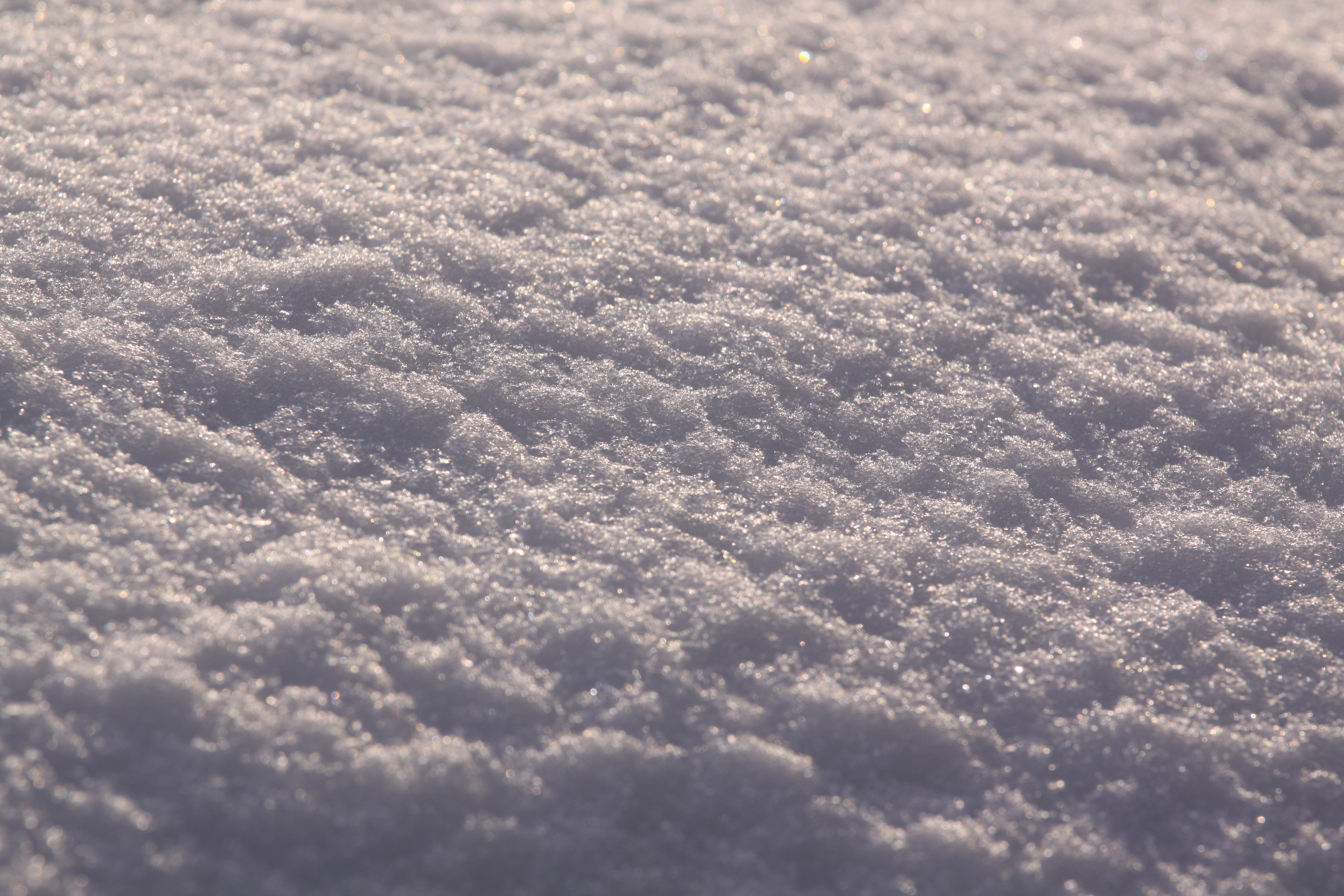 <b>EOS 50D / EF 70-200mm F4 L IS USM / 約5.5MB / 4,752×3,168 / 1/640秒 / F8 / 0EV / ISO100 / WB:太陽光 / 200mm</b>