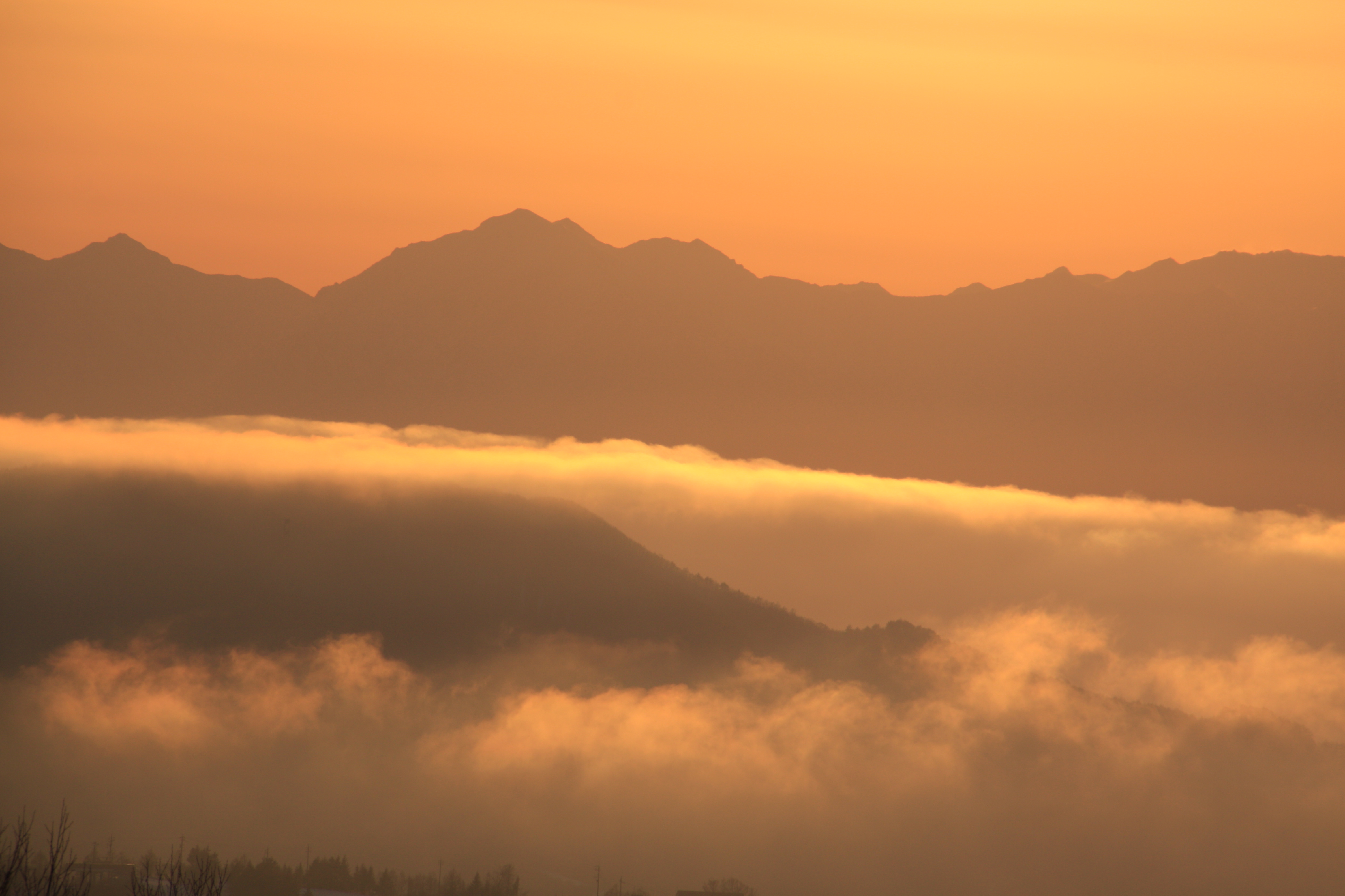 <b>EOS 50D / EF-S 18-200mm F3.5-5.6 IS / 約3.0MB / 4,752×3,168 / 1/400秒 / F11 / 0EV / ISO100 / WB:太陽光 / 200mm</b>
