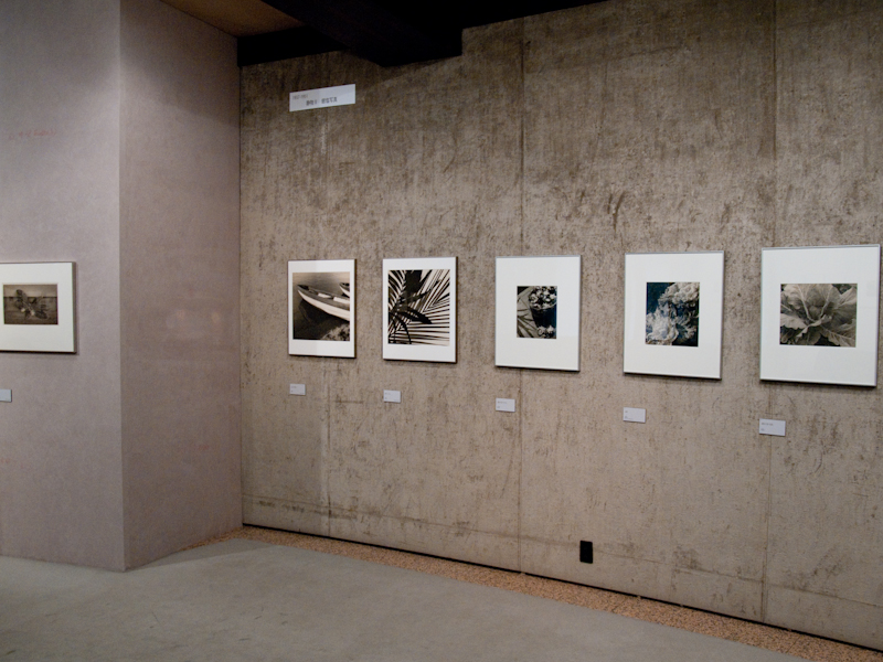 <b>風景、静物、肖像などモチーフと制作技法別に展示</b>