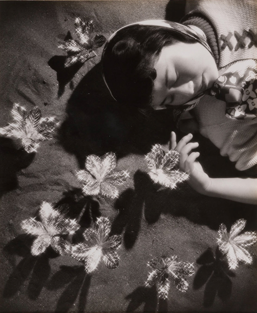 <b>「ぎんれい花」 1939年 361×304mm 「アサヒカメラ」1939年3月号</b>