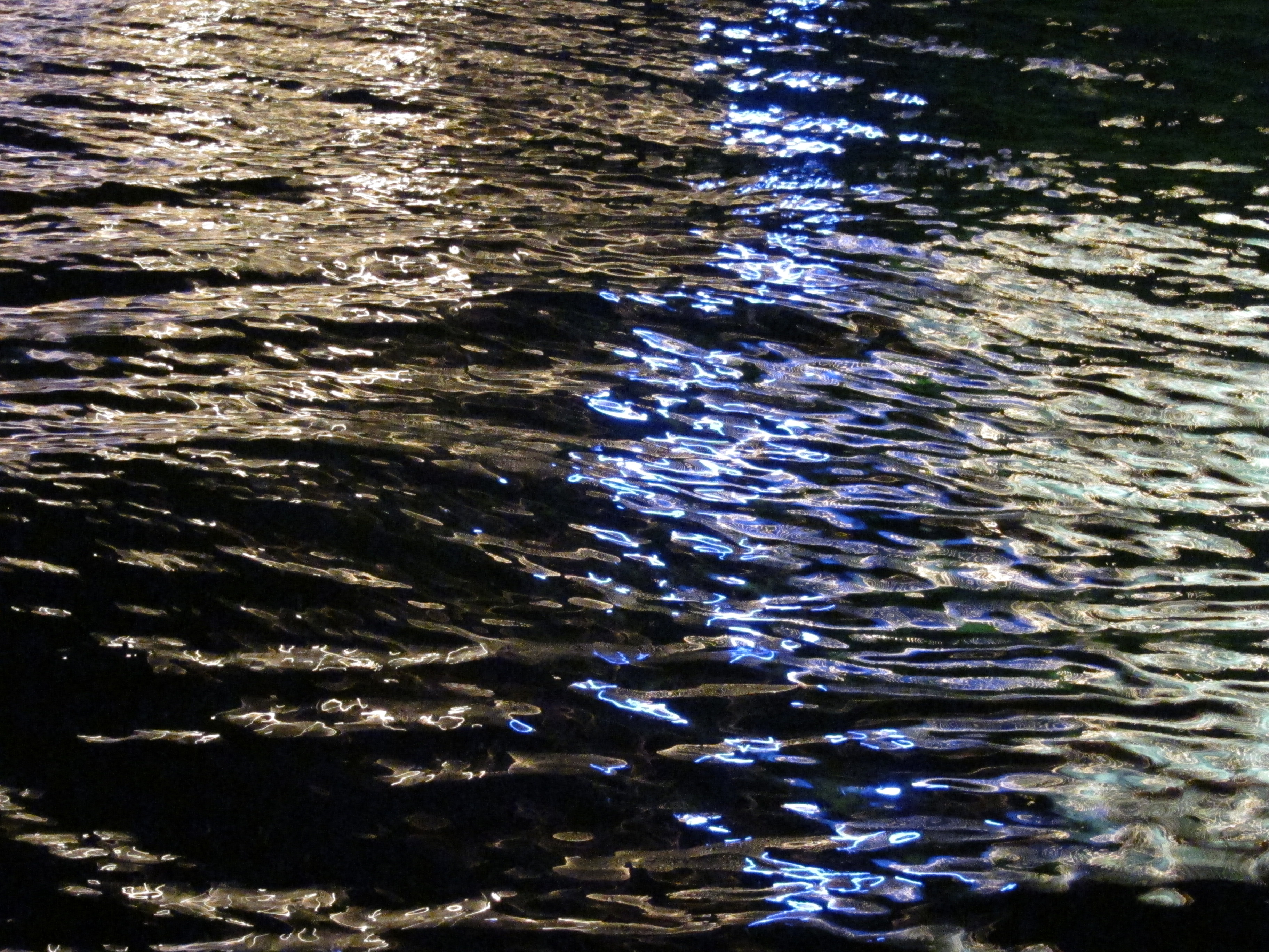 <b>PowerShot S90 / 約3.5MB / 3,648×2,736 / 1/6秒 / F4.5 / 0EV / ISO3200 / WB:オート / 18.2mm</b>