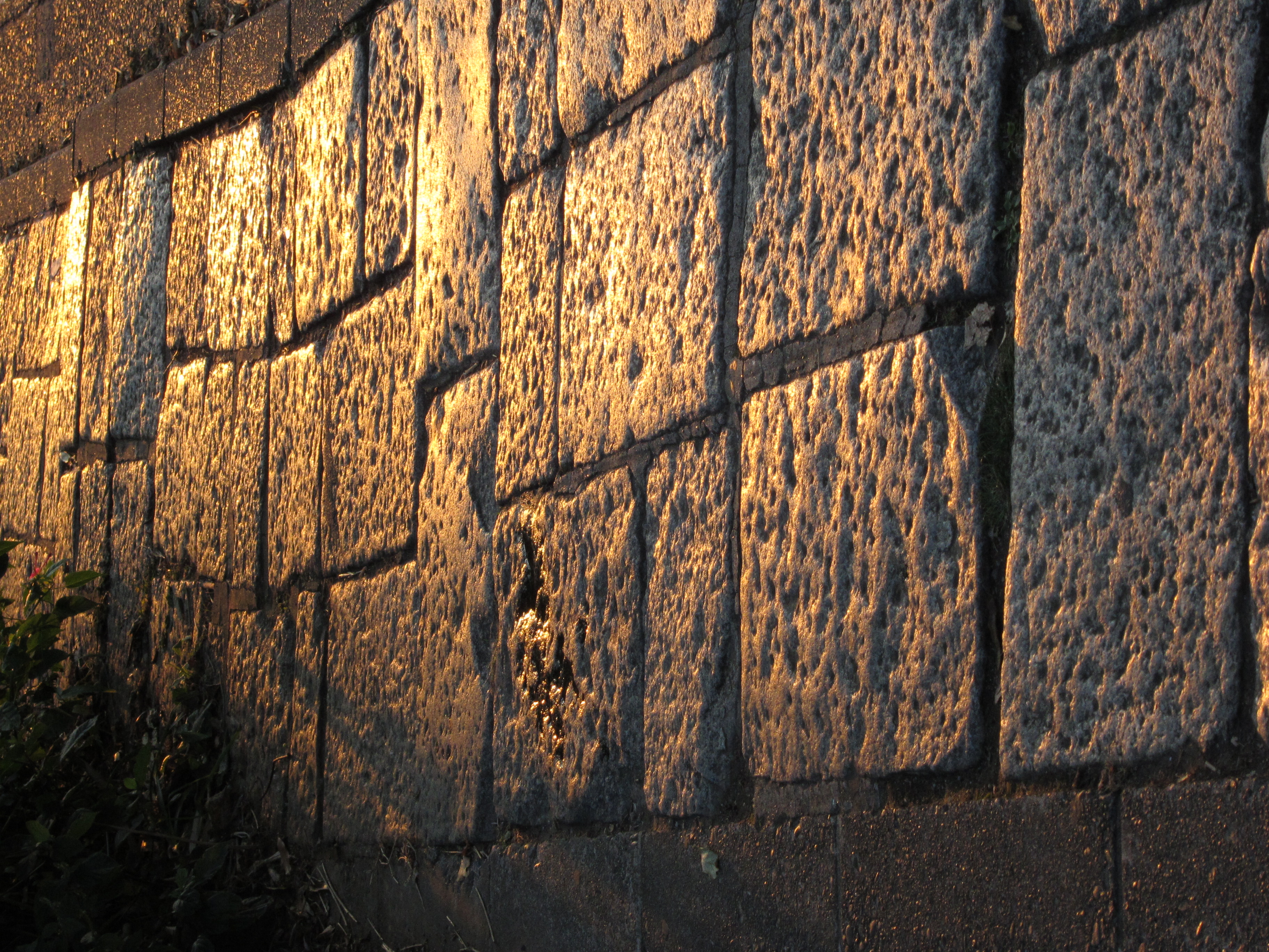 <b>PowerShot S90 / 約4.2MB / 2,736×3,648 / 1/400秒 / F4.9 / 0EV / ISO400 / WB:オート / 22.5mm</b>