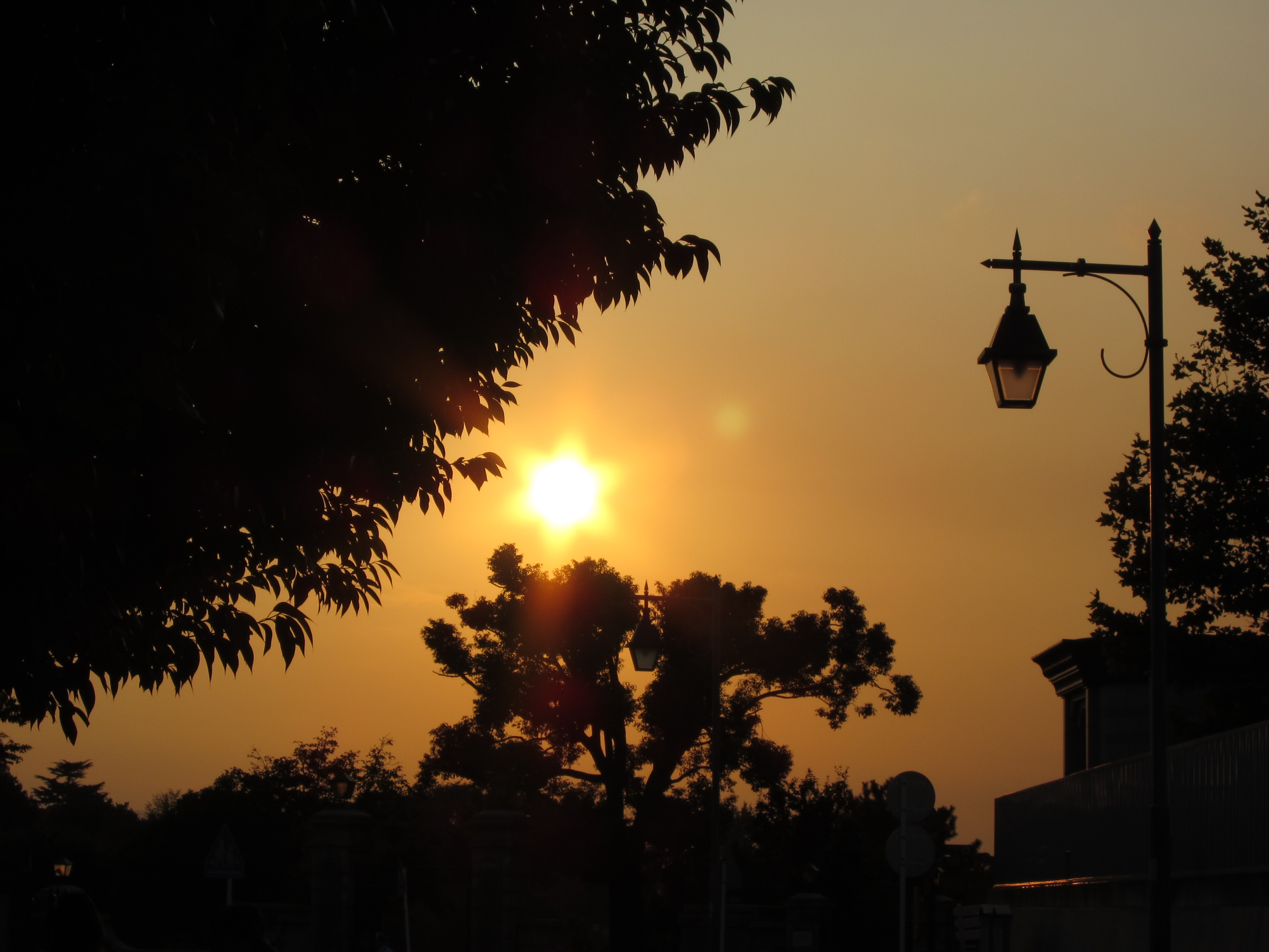 <b>PowerShot S90 / 約1.4MB / 3,648×2,736 / 1/500秒 / F8 / 0EV / ISO80 / WB:オート / 22.5mm</b>