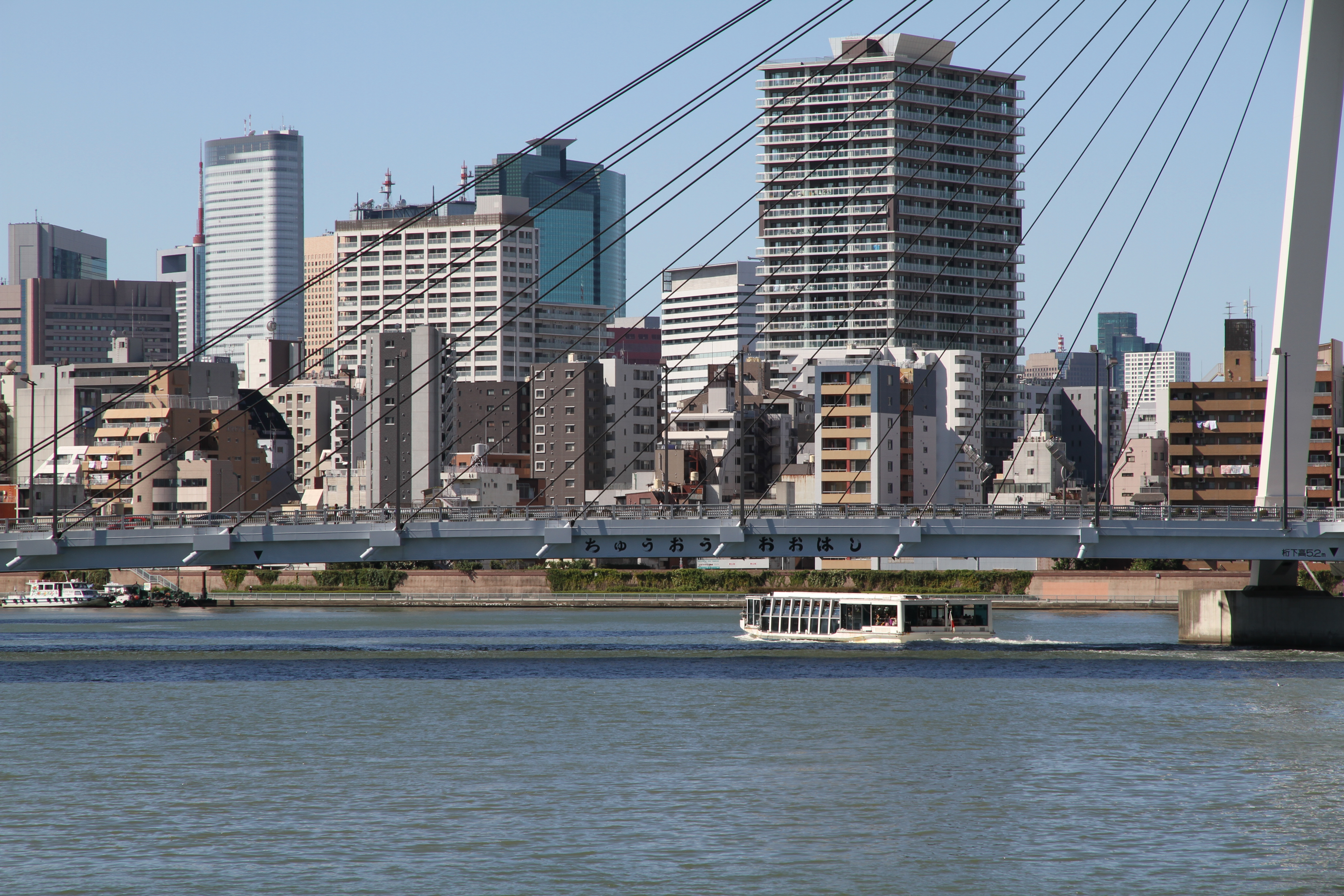 <b>EOS 7D / EF-S 15-85mm F3.5-5.6 IS USM / 約7.2MB / 5,184×3,456 / 1/250秒 / F10 / -0.3EV / ISO100 / WB:オート / 85mm</b>