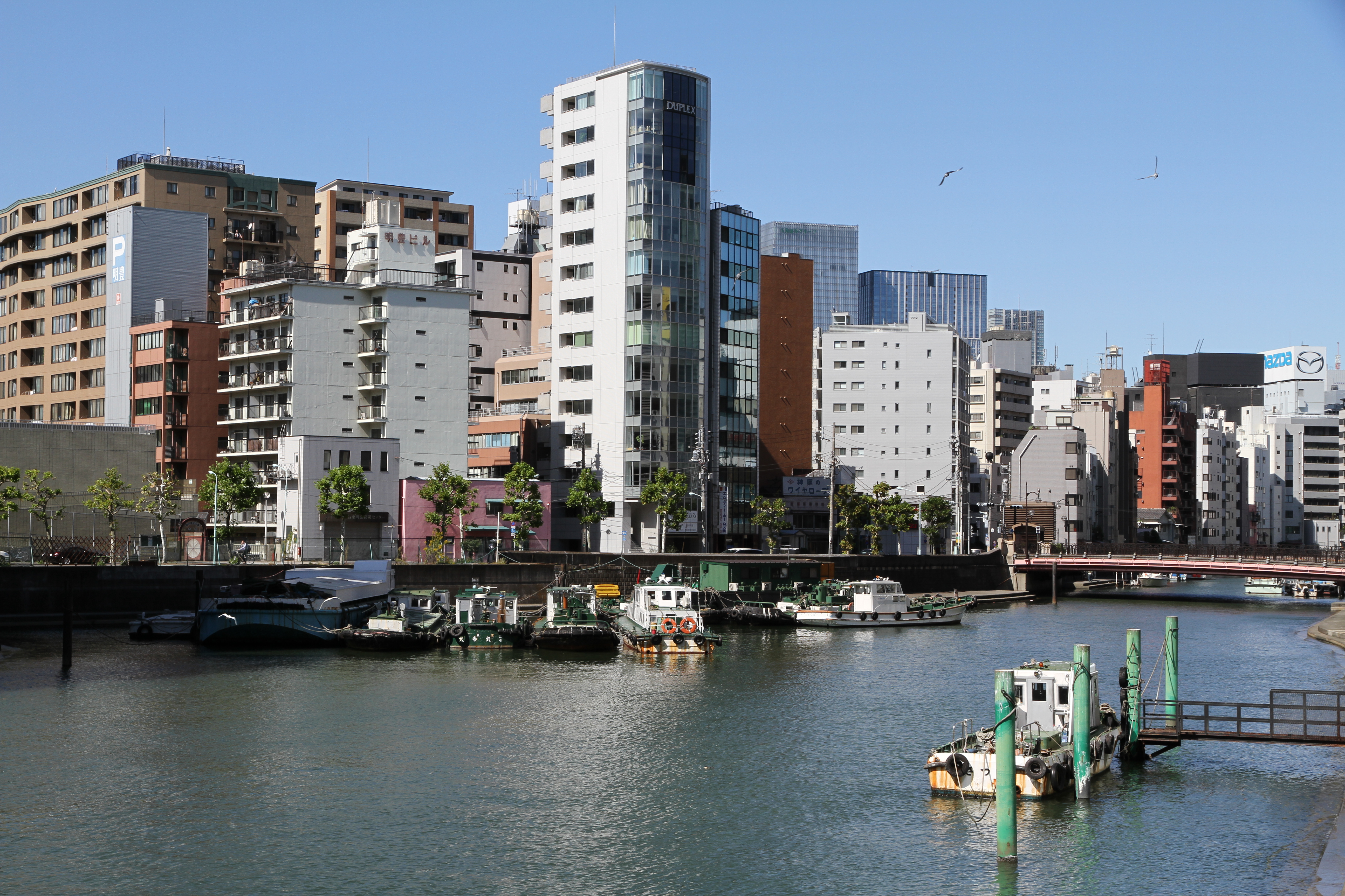 <b>EOS 7D / EF-S 15-85mm F3.5-5.6 IS USM / 約7.7MB / 5,184×3,456 / 1/250秒 / F10 / -0.3EV / ISO100 / WB:オート / 35mm</b>