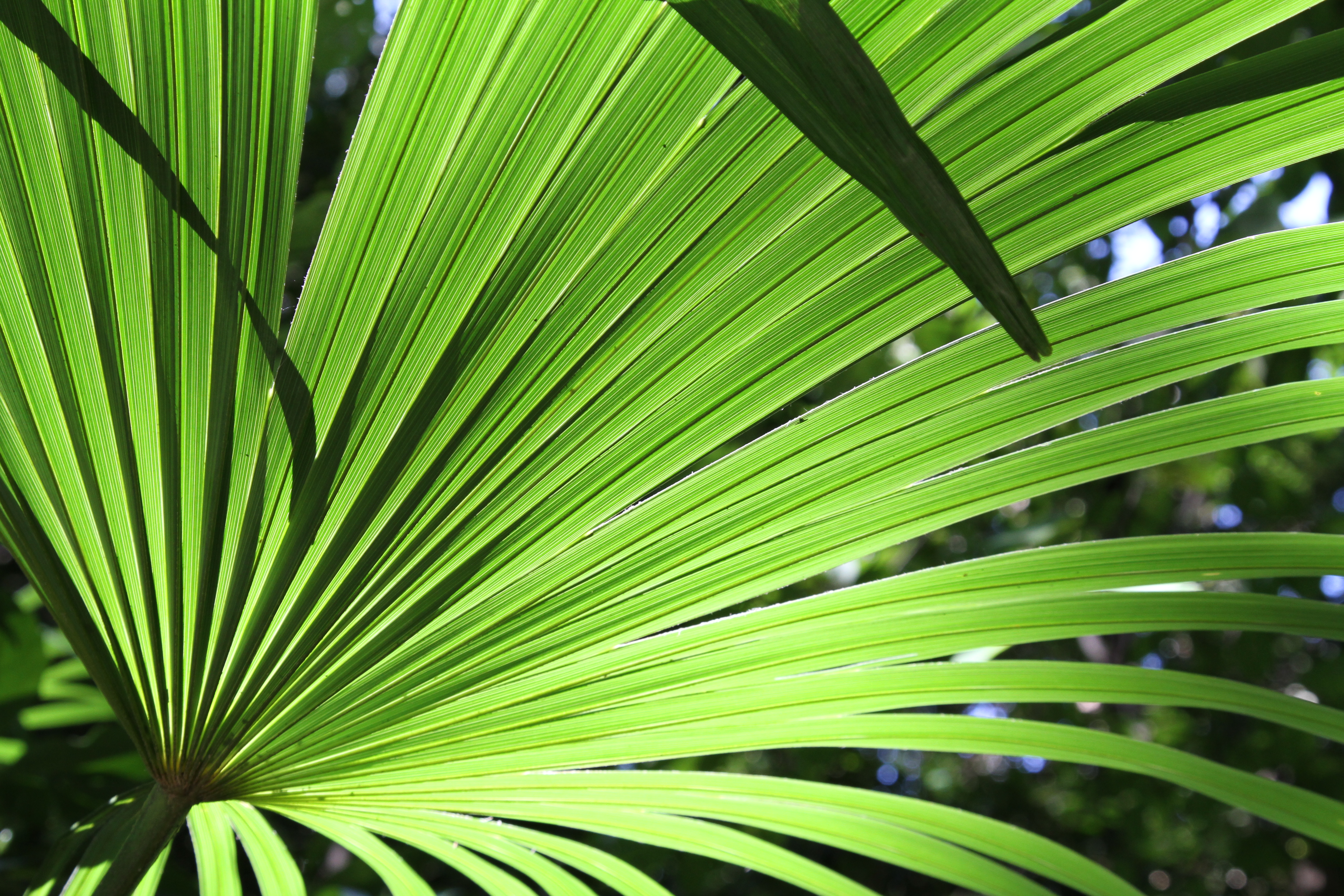 <b>EOS 7D / EF 24-105mm F4 L IS USM / 約9.2MB / 5,184×3,456 / 1/60秒 / F8 / +0.7EV / ISO400 / WB:オート / 47mm</b>