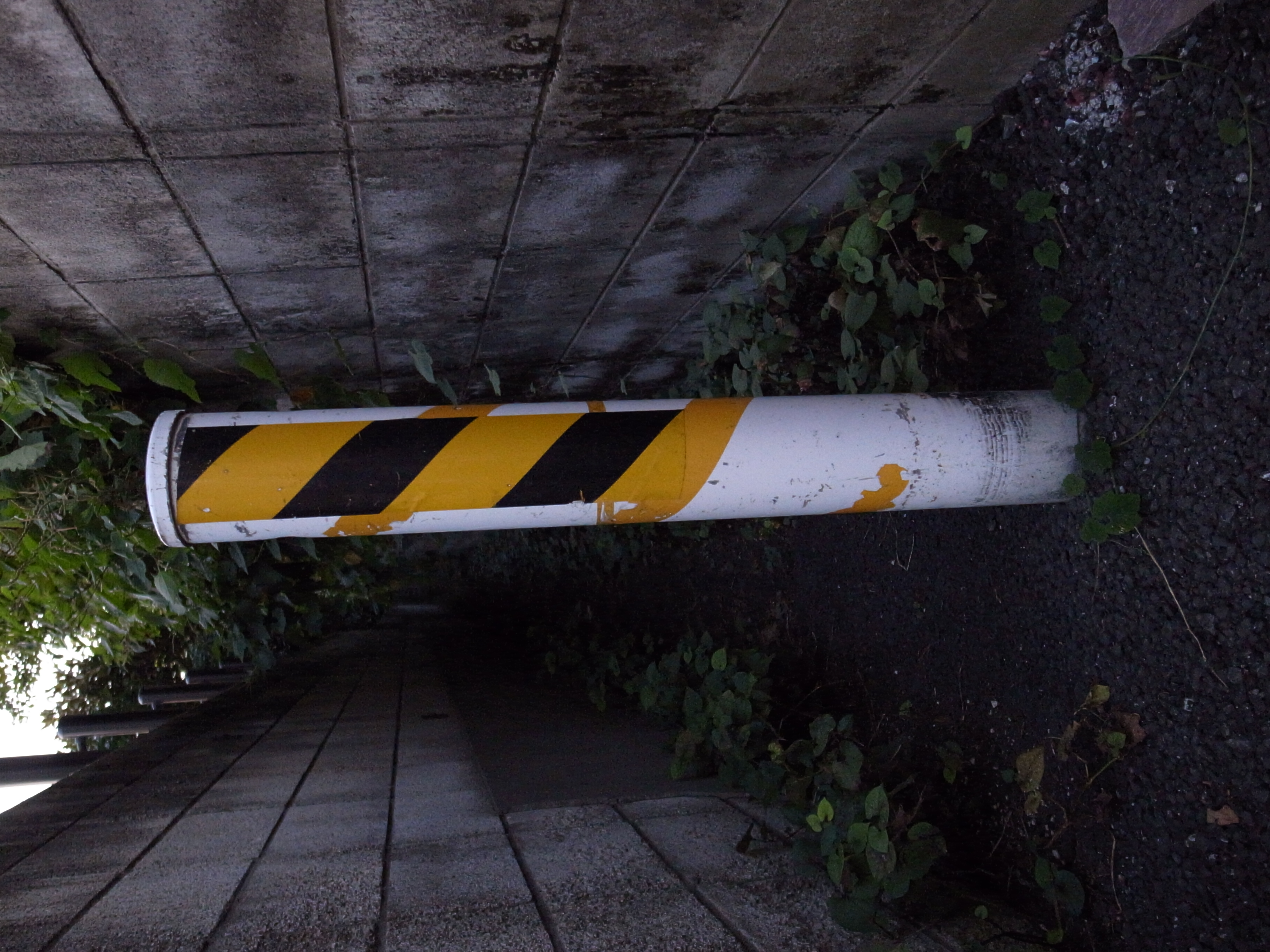 <b>GR DIGITAL III / 2,736×3,648 / 1/24秒 / F1.9 / -0.7EV / ISO800 / 絞り優先AE / WB:オート / 6mm</b>