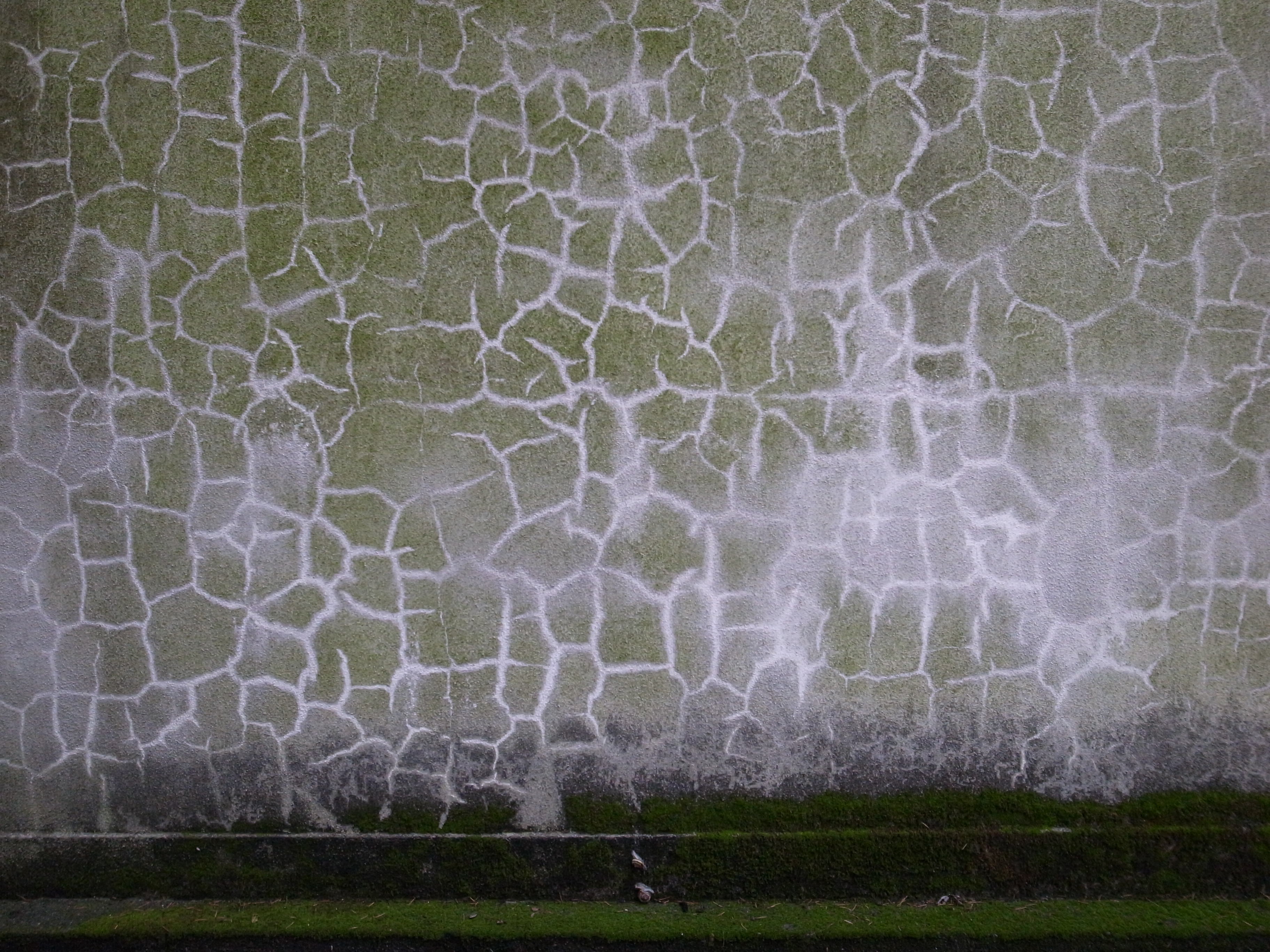 <b>GR DIGITAL III / 3,648×2,736 / 1/270秒 / F1.9 / -0.3EV / ISO400 / 絞り優先AE / WB:オート / 6mm</b>