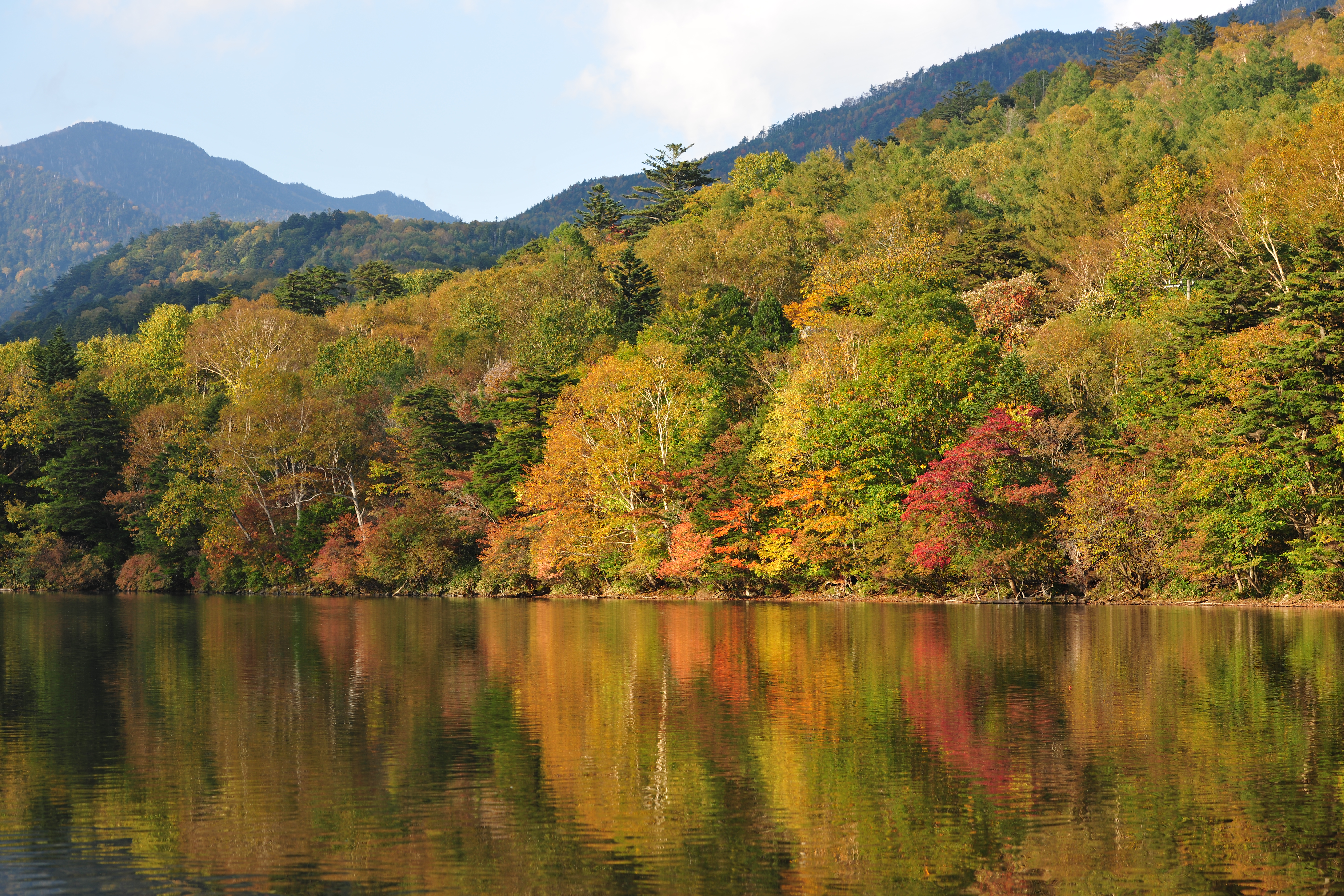 <b>D3X / AF-S NIKKOR 70-200mm F2.8 G ED VR II / 約13.1MB / 6,048×4,032 / 1/60秒 / F7.1 / 0EV / ISO100 / WB:曇天 / 70mm</b>