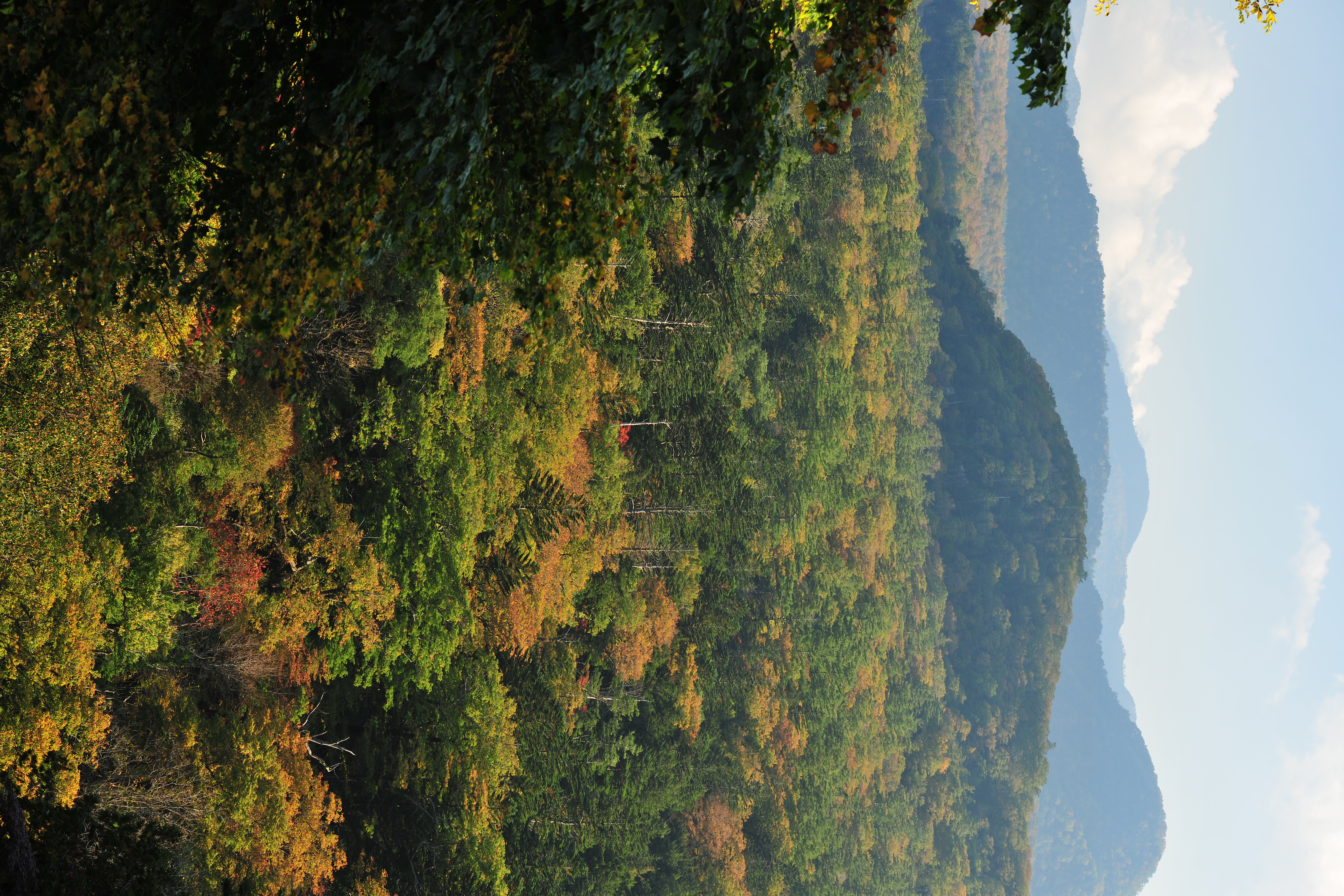 <b>D3X / AF-S NIKKOR 70-200mm F2.8 G ED VR II / 約12.8MB / 4,032×6,048 / 1/40秒 / F7.1 / -1EV / ISO100 / WB:曇天 / 70mm</b>