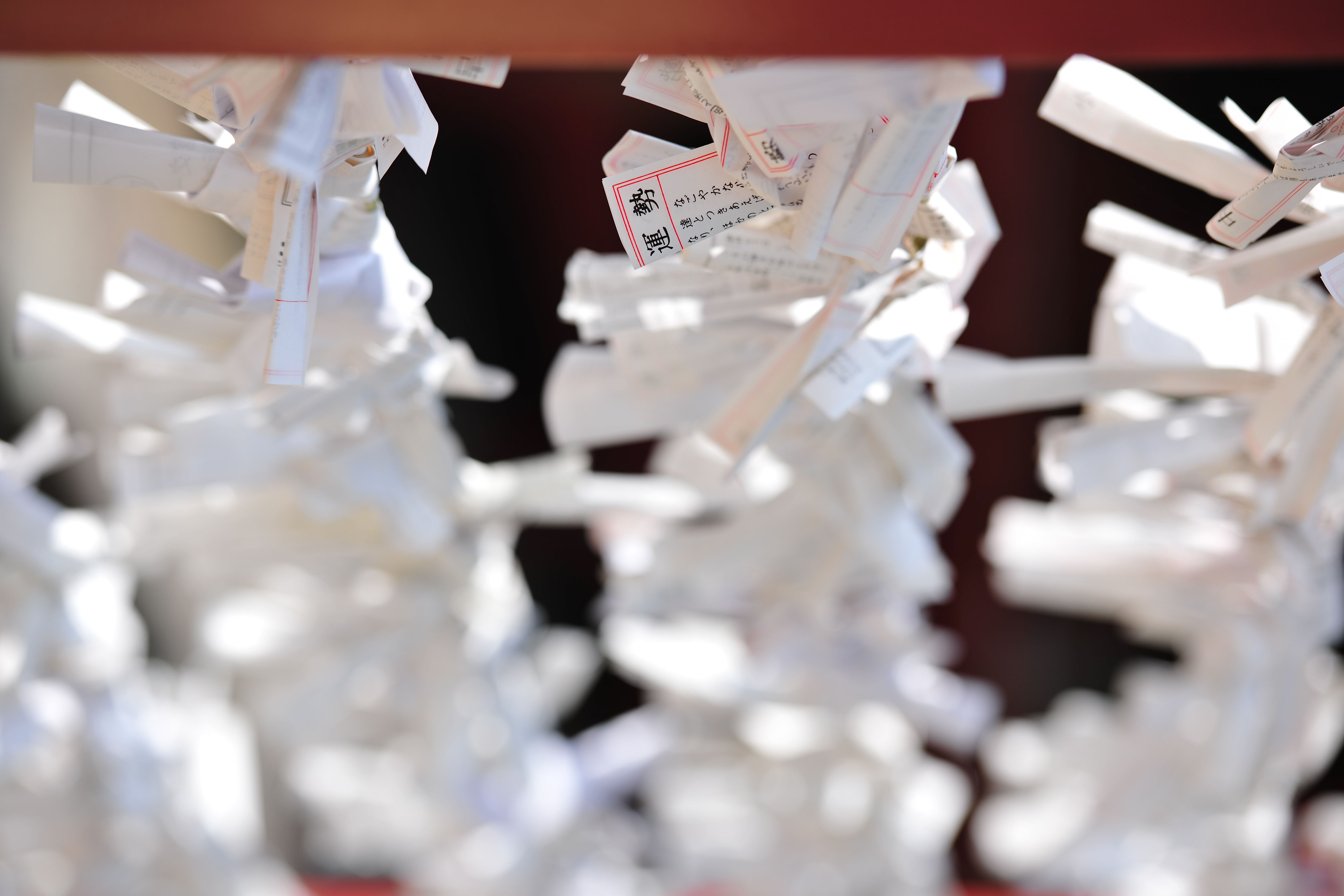 <b>D3X / AF-S NIKKOR 70-200mm F2.8 G ED VR II / 約4.9MB / 4,032×6,048 / 1/1,000秒 / F3.2 / +0.7EV / ISO100 / WB:晴天 / 140mm</b>