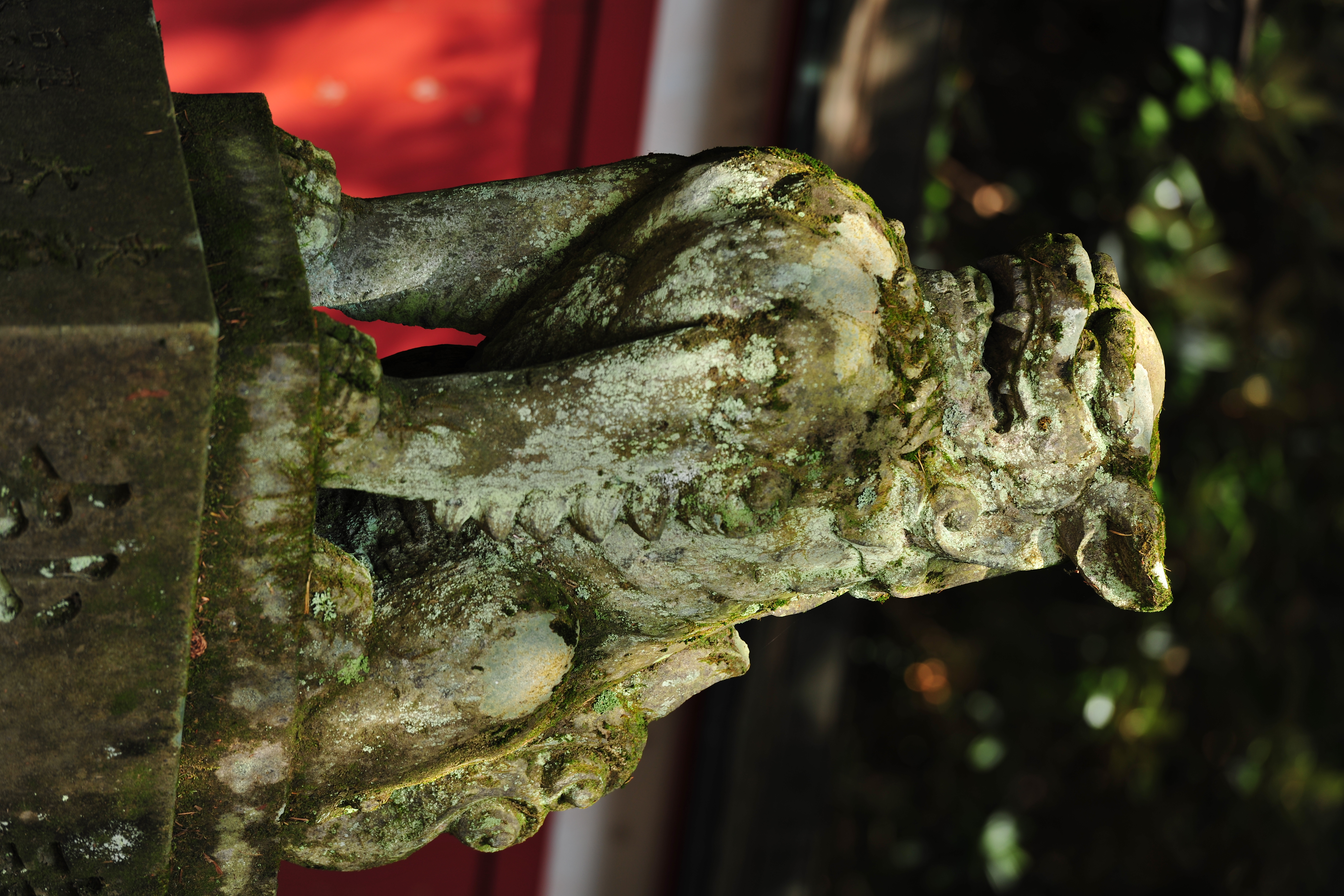 <b>D3X / AF-S NIKKOR 70-200mm F2.8 G ED VR II / 約9.6MB / 4,032×6,048 / 1/80秒 / F4 / -0.3EV / ISO100 / WB:晴天 / 200mm</b>