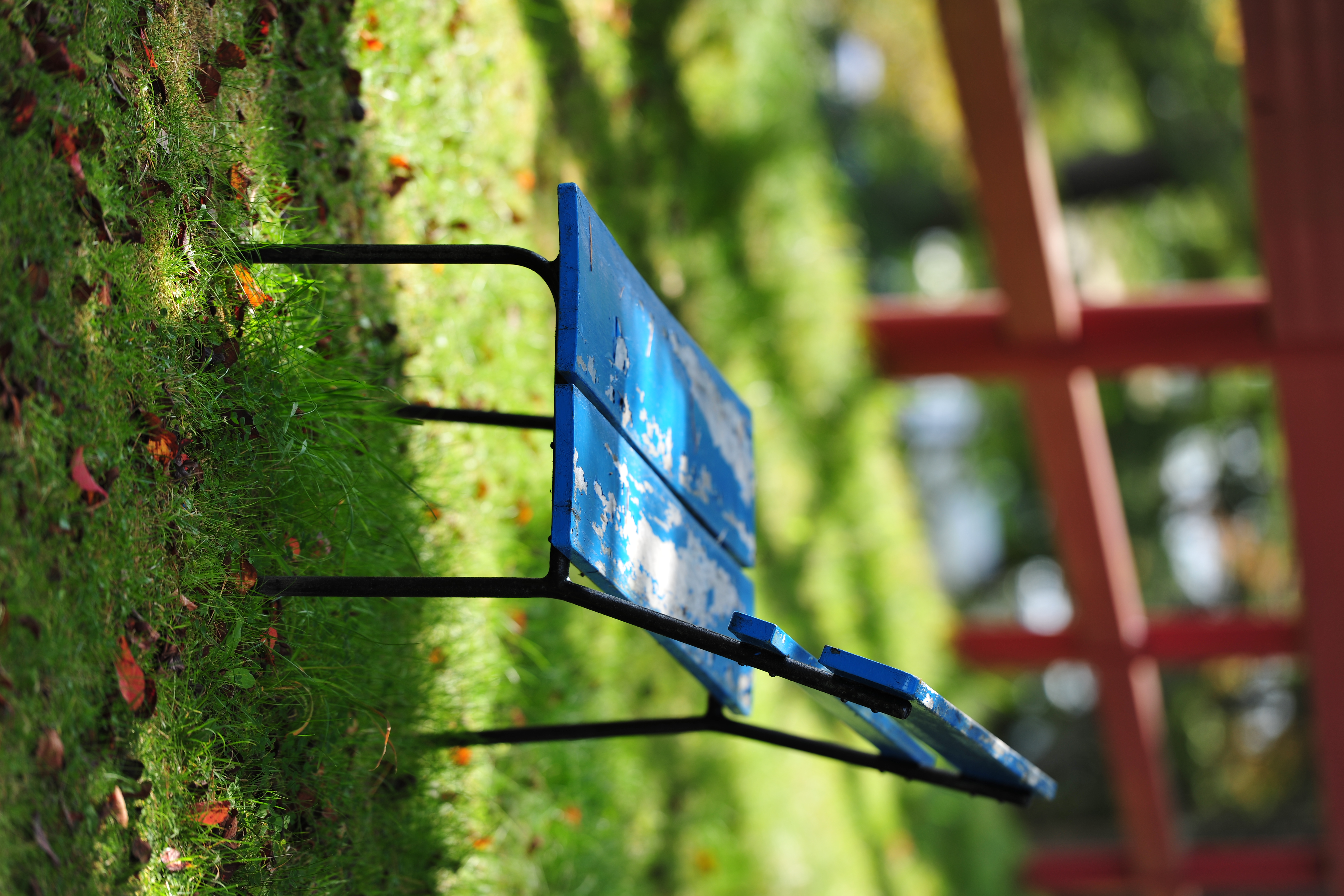 <b>D3X / AF-S NIKKOR 70-200mm F2.8 G ED VR II / 約8.3MB / 4,032×6,048 / 1/250秒 / F3.5 / +0.3EV / ISO100 / WB:晴天 / 185mm</b>