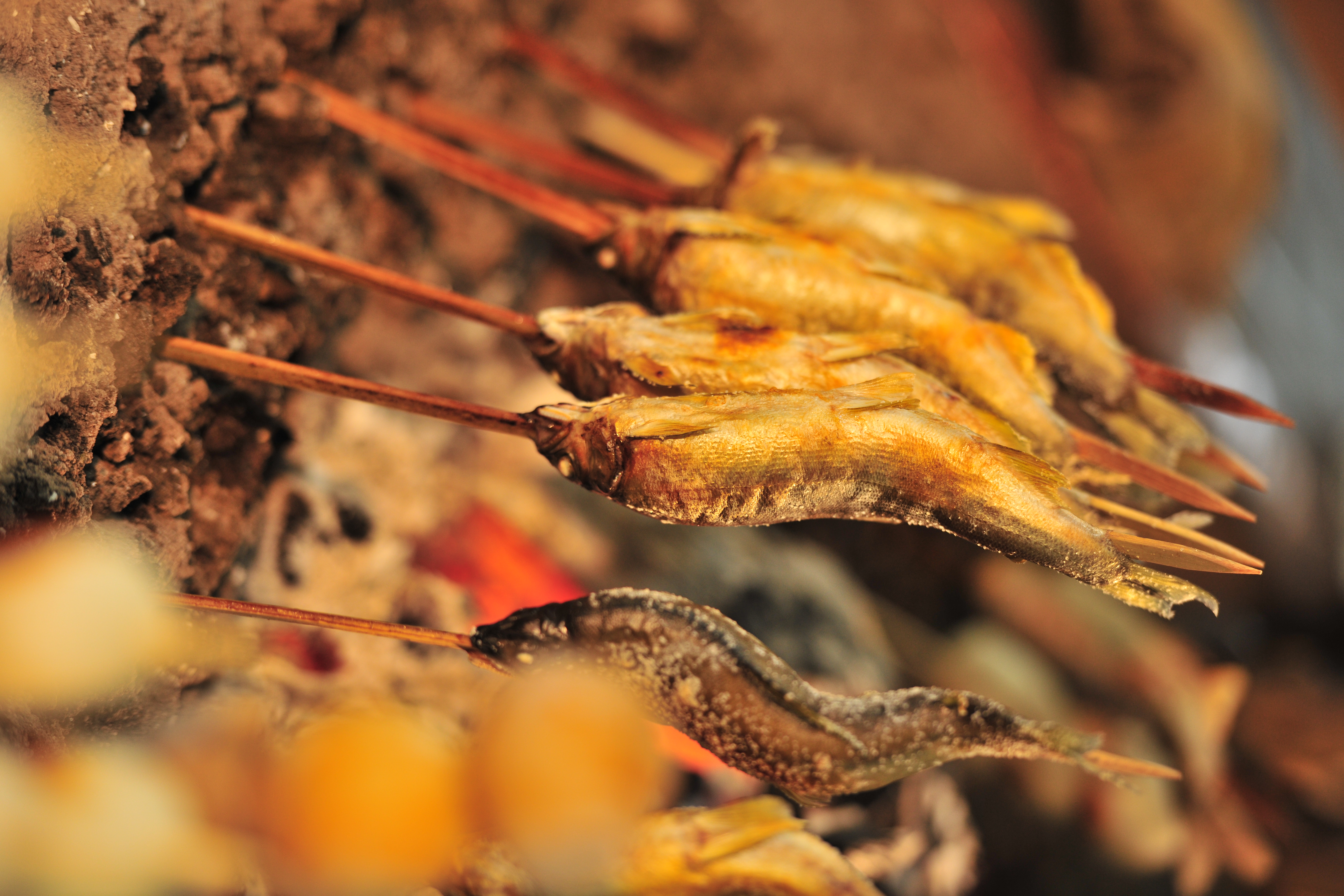 <b>D3X / AF-S NIKKOR 70-200mm F2.8 G ED VR II / 約11.0MB / 4,032×6,048 / 1/100秒 / F2.8 / -0.3EV / ISO400 / WB:マニュアル（4,170K） / 190mm</b>