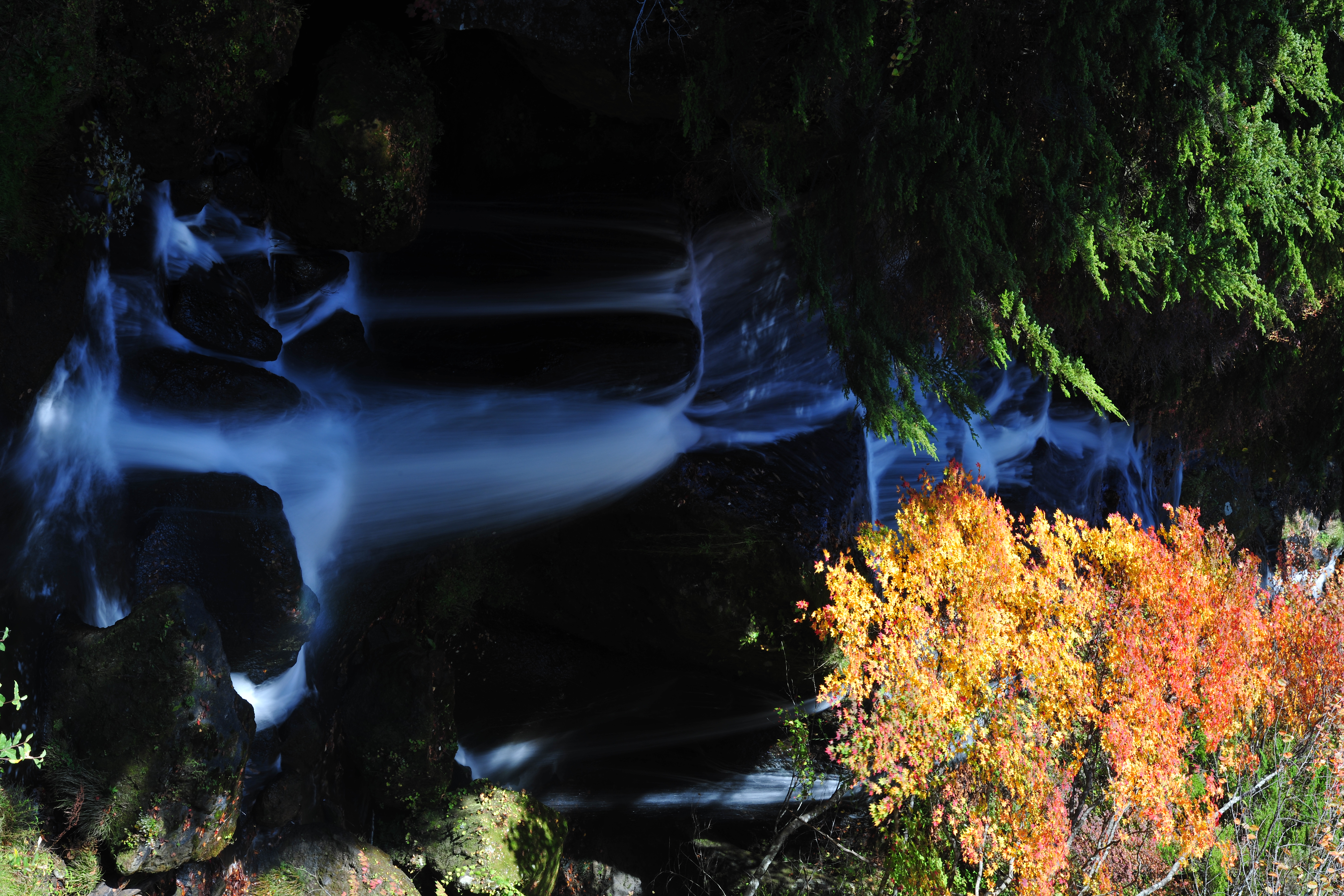 <b>D3X / AF-S NIKKOR 70-200mm F2.8 G ED VR II / 約11.7MB / 4,032×6,048 / 1/2秒 / F16 / -1EV / ISO100 / WB:マニュアル（4,170K） / 70mm</b>