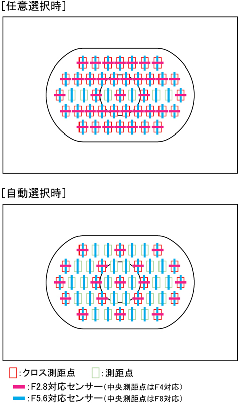 <b>AFフレーム配置図</b>
