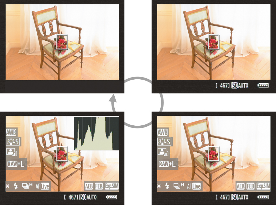 <b>ライブビュー時の表示</b>