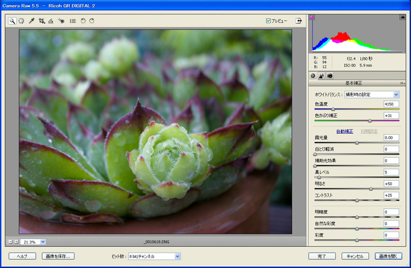 <b>RAW現像もプラグインのCamera RAWで行える。RAWデータであることを特に意識しなくても、Elements Organizer画面では、ほかのJPEGデータと同じように表示され、編集作業を行なう際にCamera Rawが起動する</b>