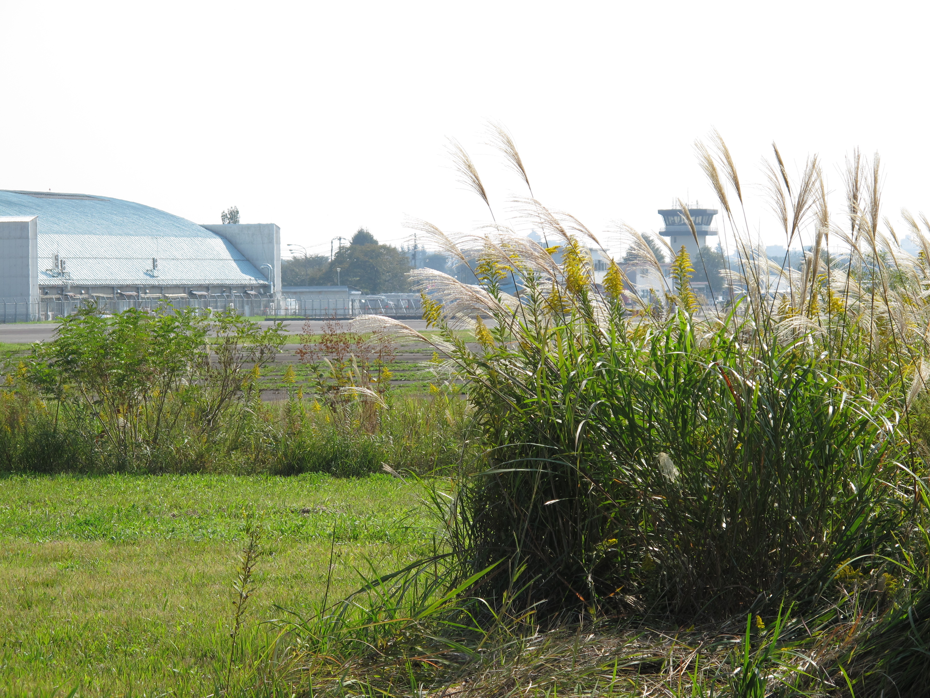 <b>3,648×2,736 / 1/500秒 / F4.5 / 0EV / ISO80 / プログラムAE / WB:オート / 30.5mm</b>