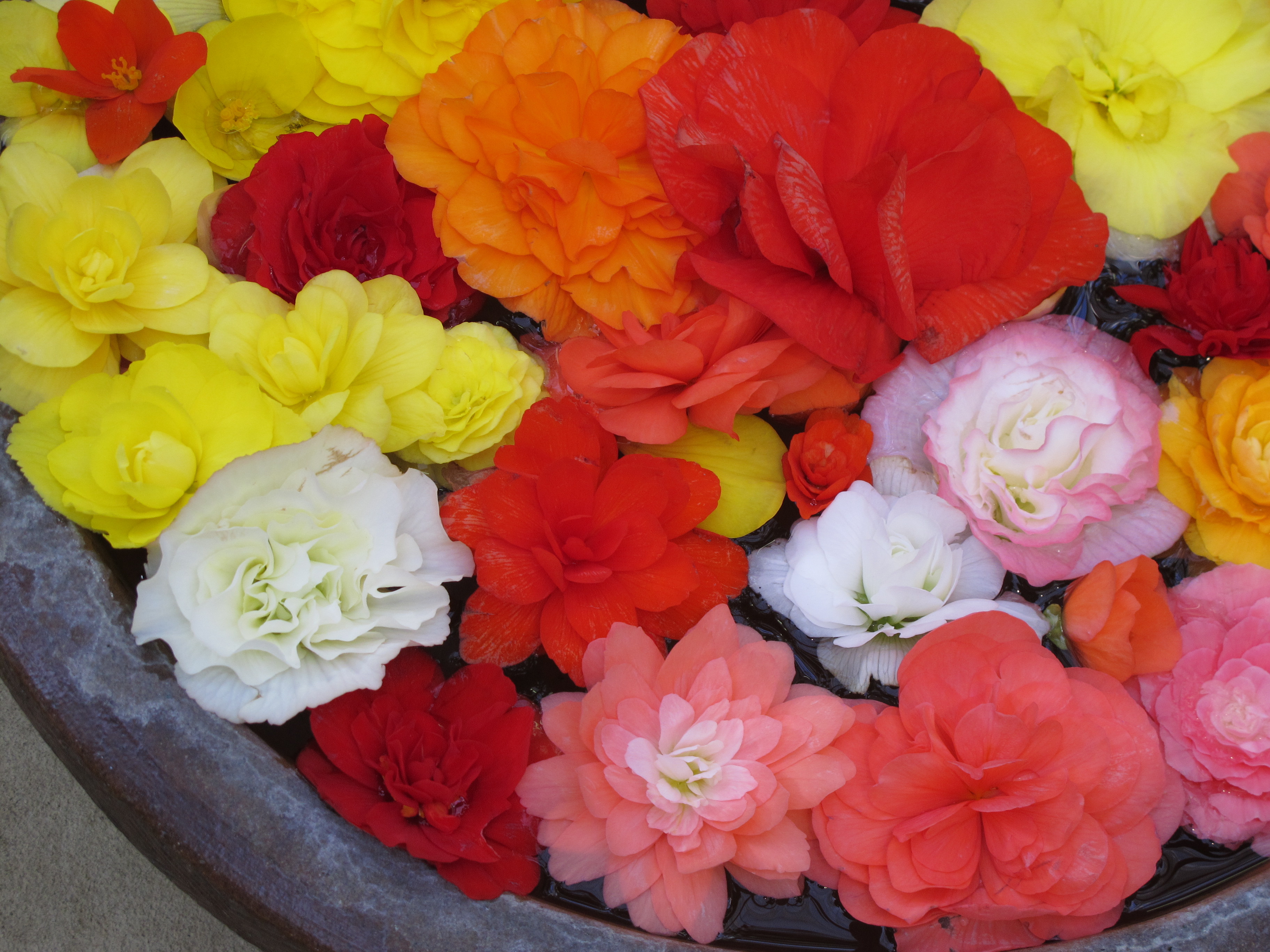 <b>3,648×2,736 / 1/80秒 / F3.5 / 0EV / ISO160 / プログラムAE / WB:オート / 15.7mm</b>