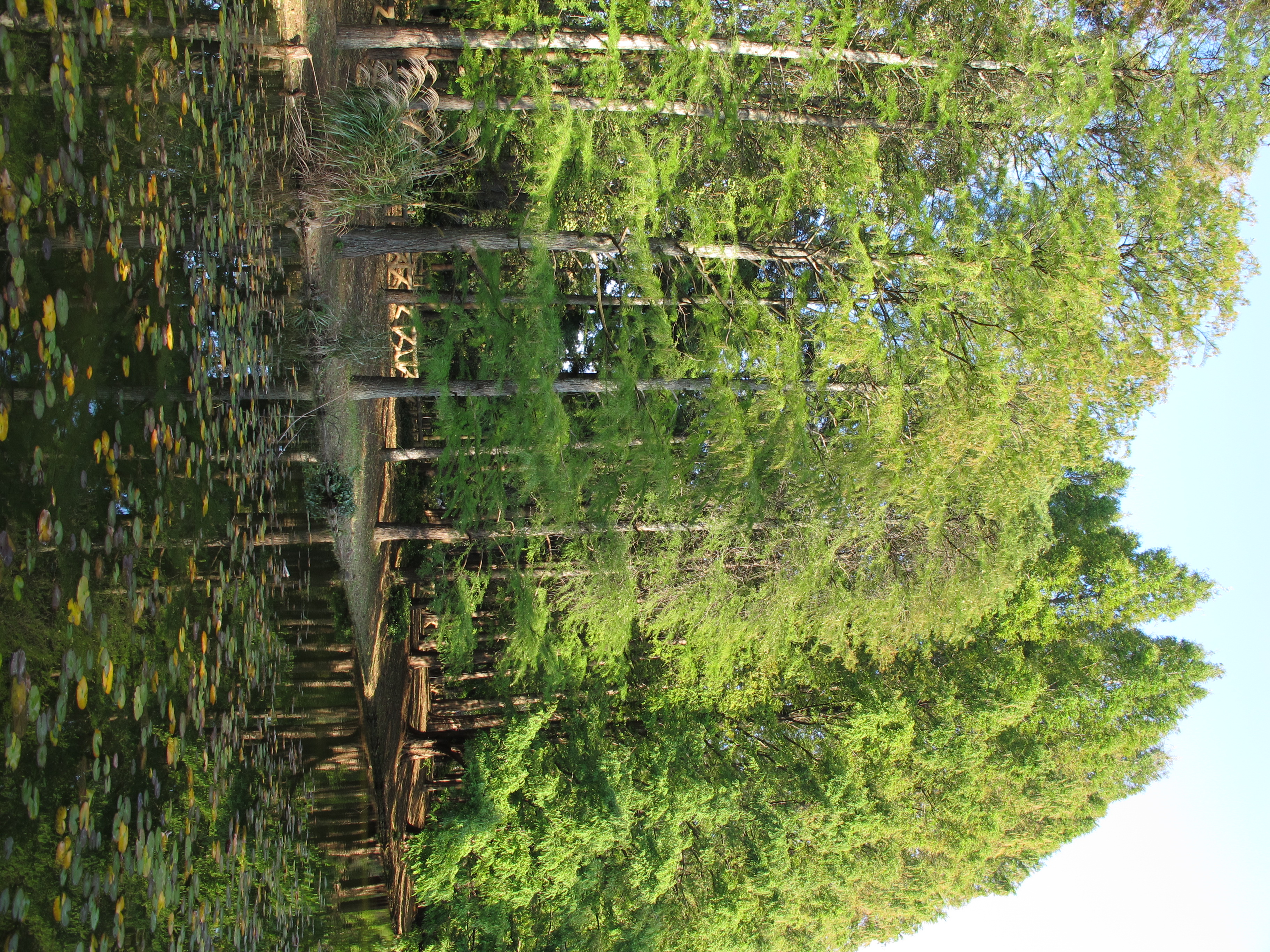 <b>3,648×2,736 / 1/1,250秒 / F4 / 0EV / ISO80 / プログラムAE / WB:太陽光 / 6.1mm</b>