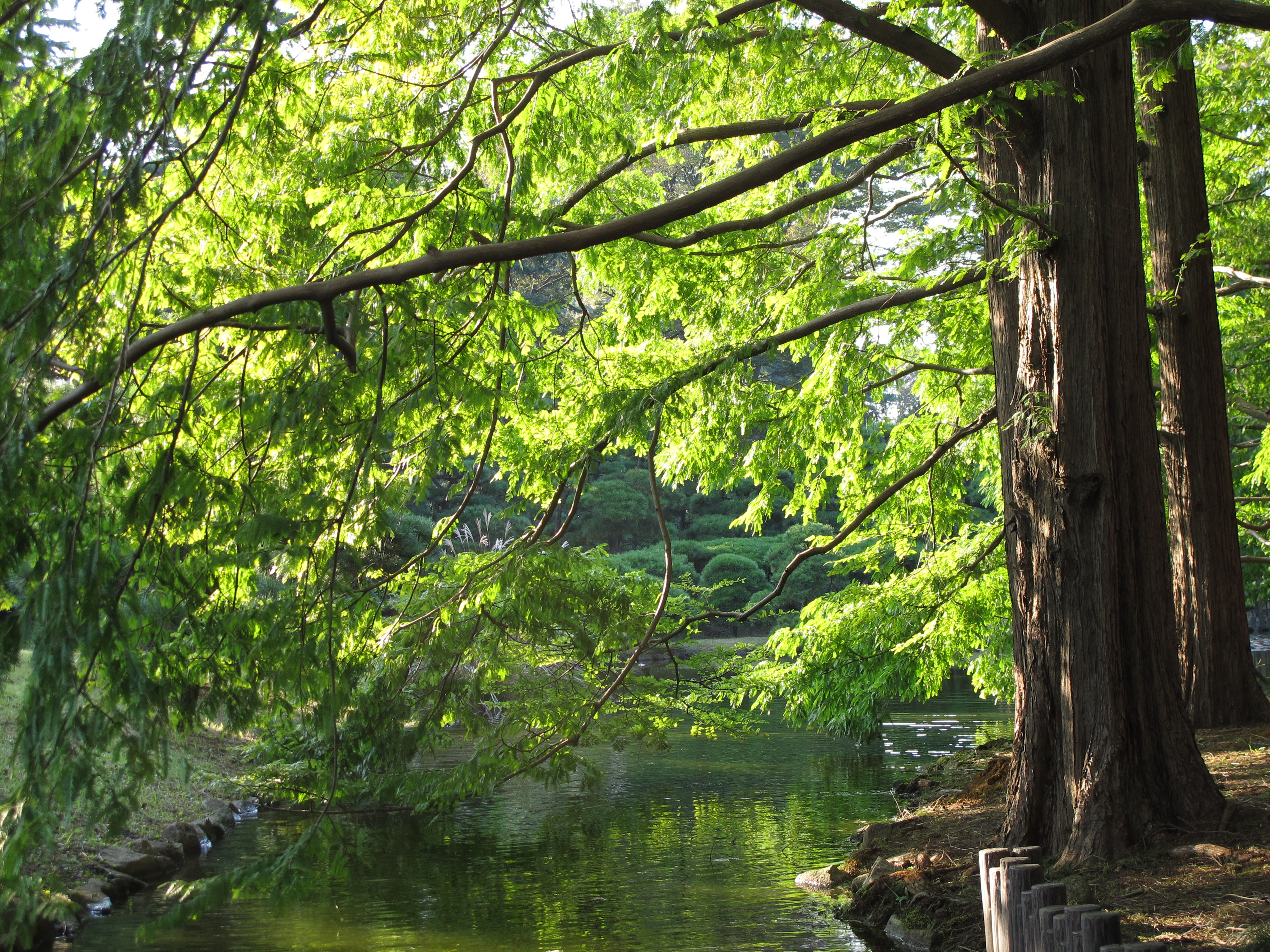 <b>3,648×2,736 / 1/80秒 / F3.5 / 0EV / ISO80 / プログラムAE / WB:太陽光 / 13.8mm</b>