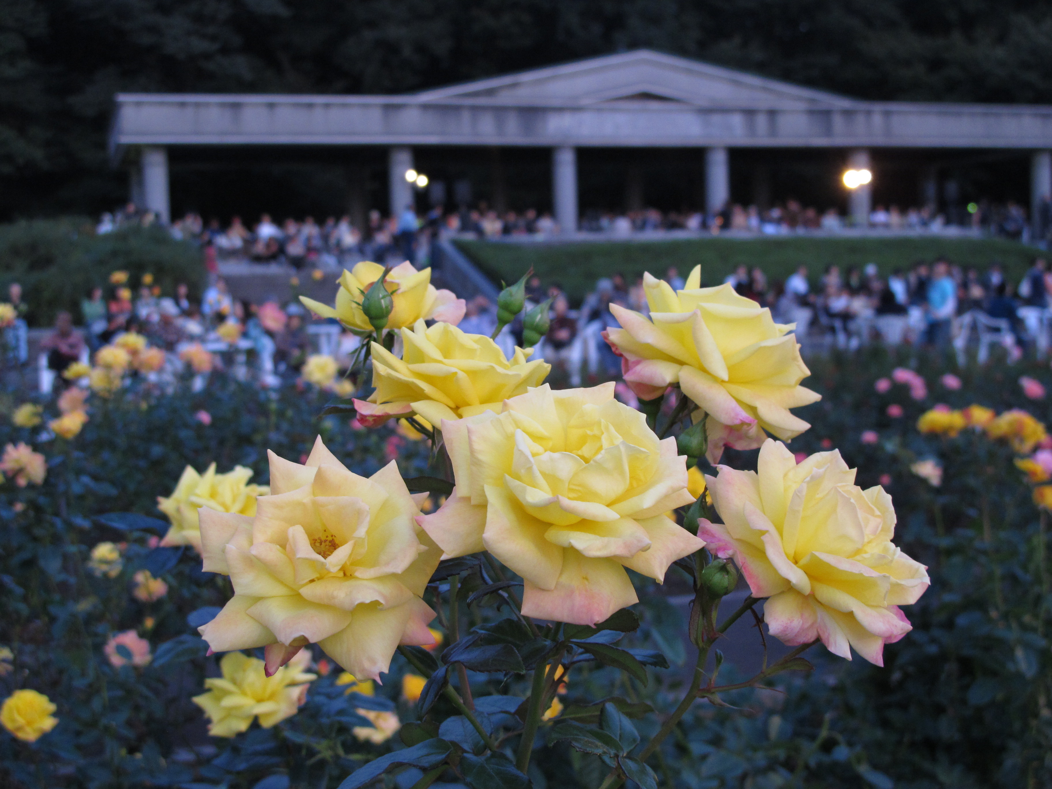 <b>3,648×2,736 / 1/40秒 / F3.2 / 0EV / ISO400 / プログラムAE / WB:オート / 10.8mm</b>