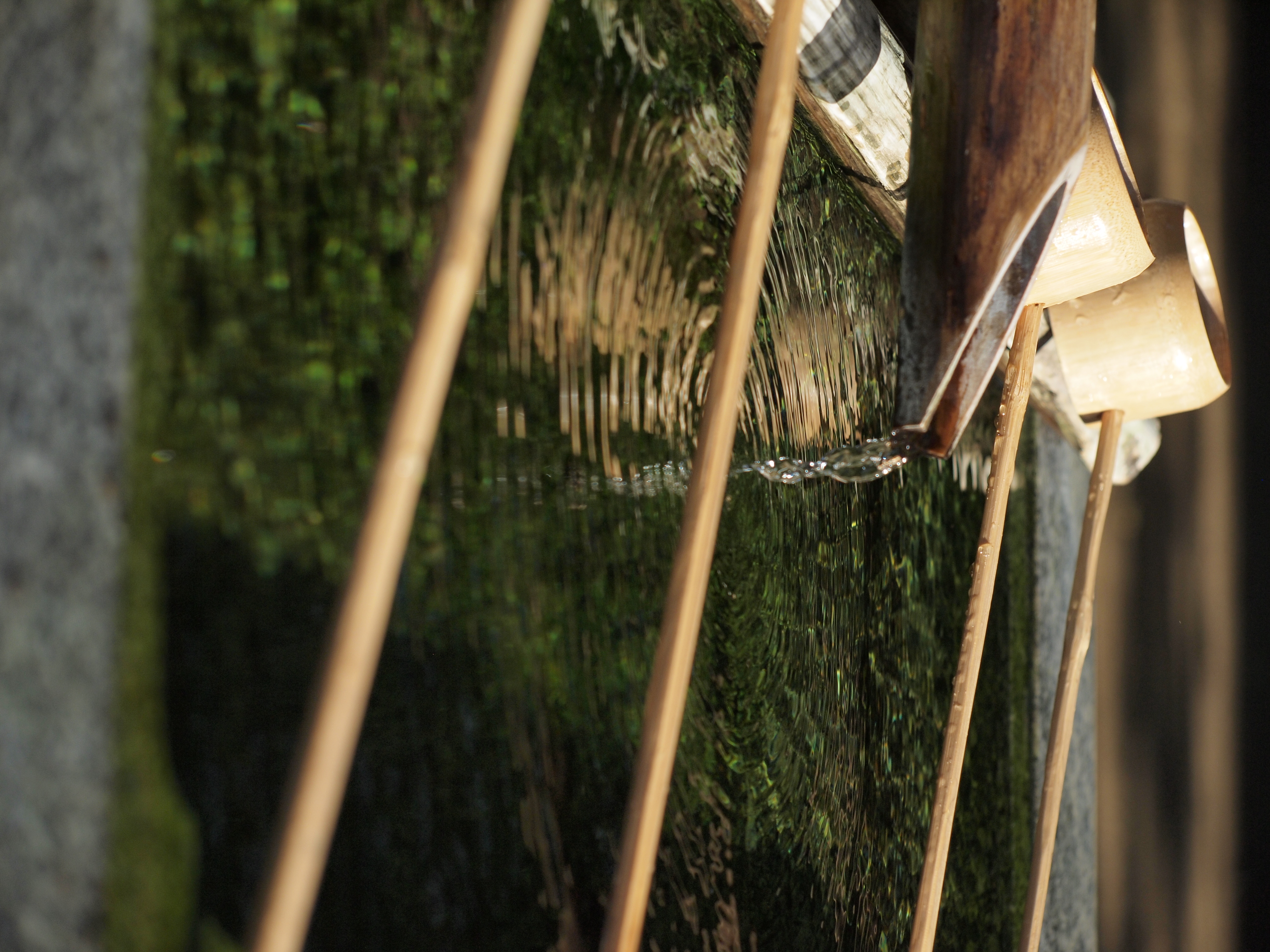 <b>E-P1 / ZUIKO DIGITAL ED 40-150mm F4-5.6 / 約7.6MB / 3,024×4,032 / 1/1,000秒 / F4.6 / 0EV / ISO200 / WB:オート / 73mm</b>