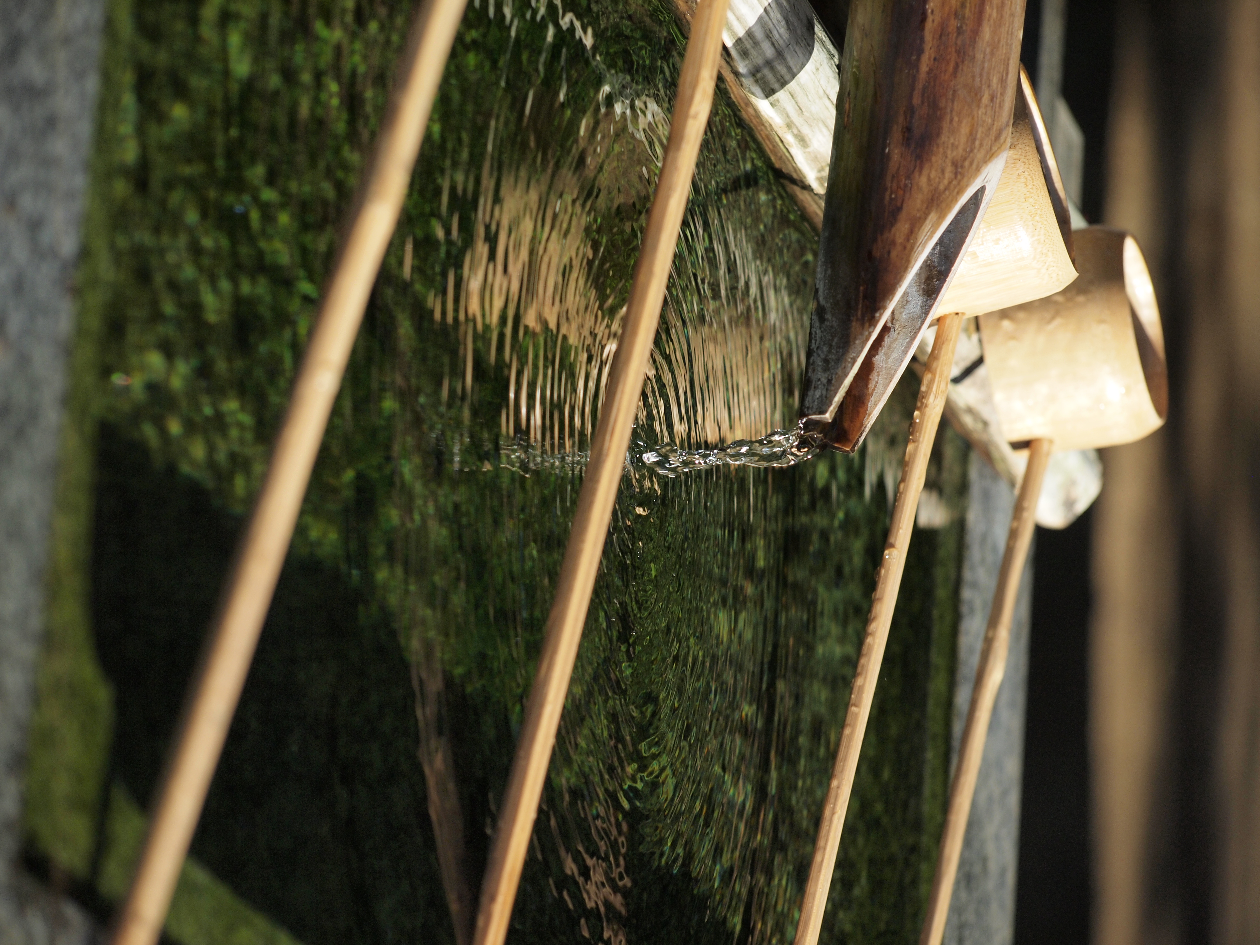 <b>E-P1 / ZUIKO DIGITAL ED 40-150mm F4-5.6 / 約7.7MB / 3,024×4,032 / 1/800秒 / F4.9 / 0EV / ISO200 / WB:オート / 90mm</b>