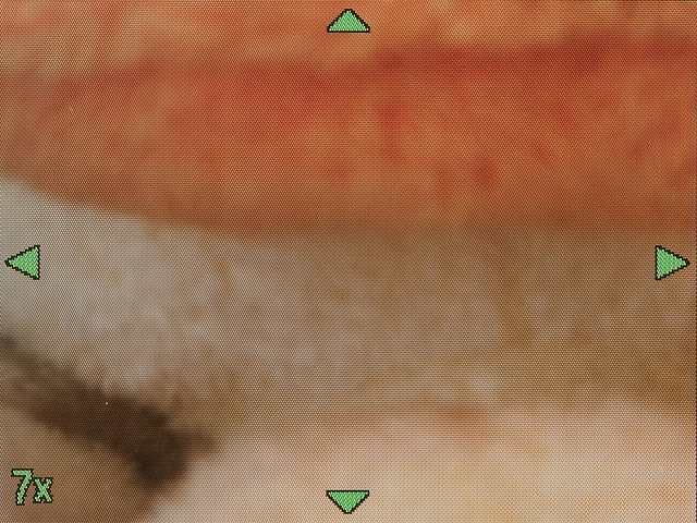 <b>こちらは7倍</b>