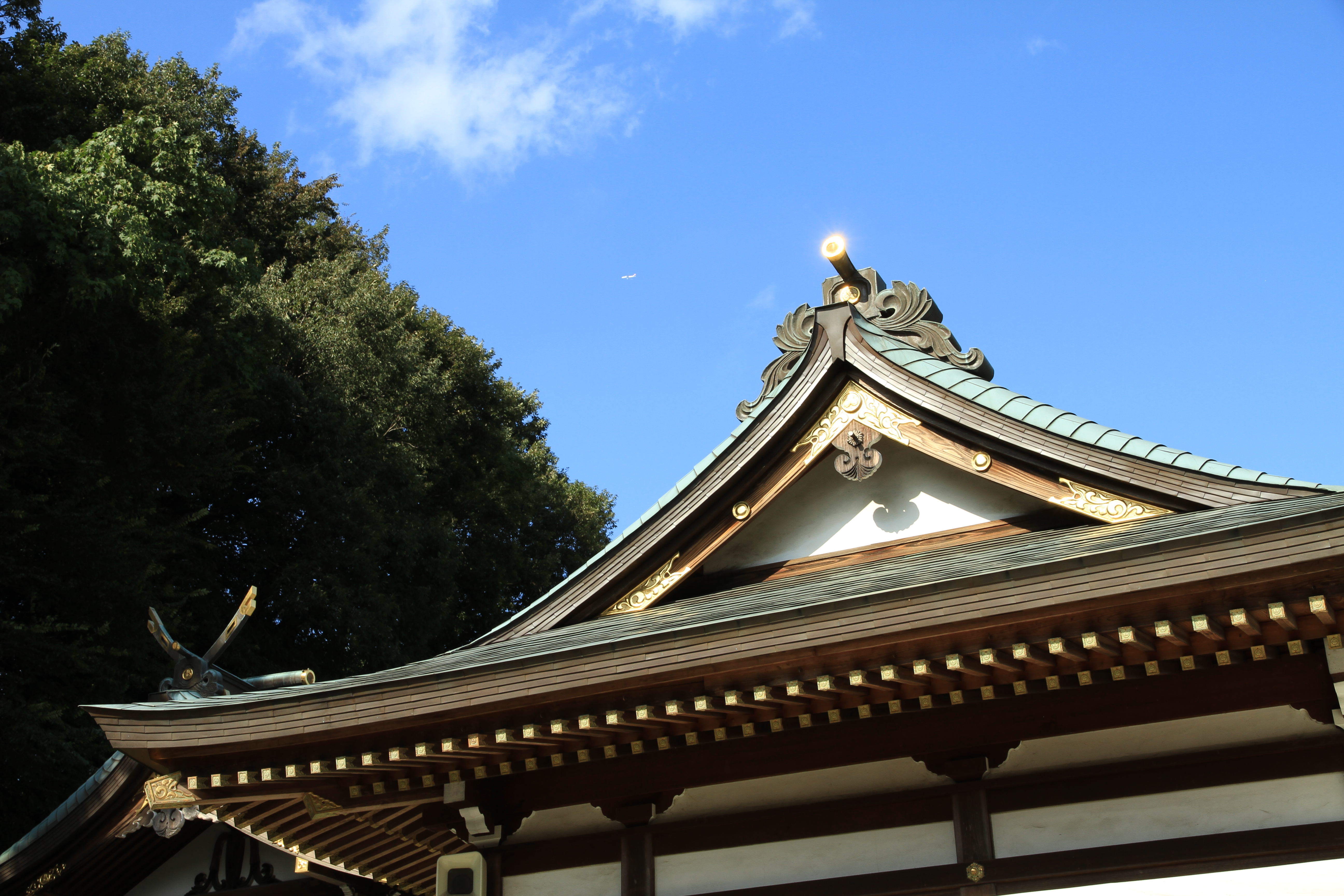 <b>EOS 7D / EF-S 15-85mm F3.5-5.6 IS USM / 約5.8MB / 5,184×3,456 / 1/160秒 / F8 / 0EV / ISO100 / WB:太陽光 / 31mm</b>