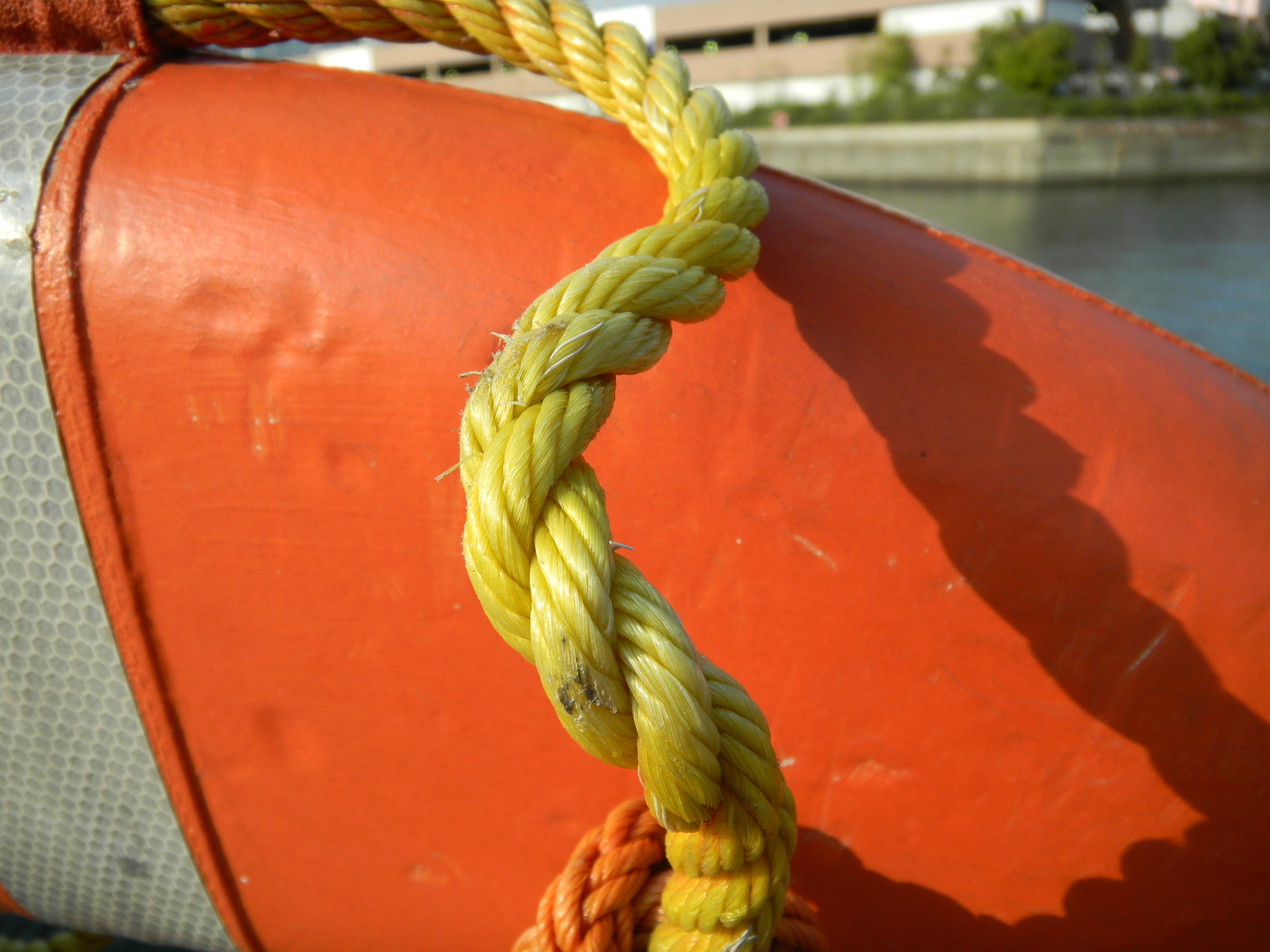 <b>COOLPIX S70 / 4,000×3,000 / 1/410秒 / F3.9 / 0EV / ISO80 / プログラムAE / WB:オート / 5mm</b>