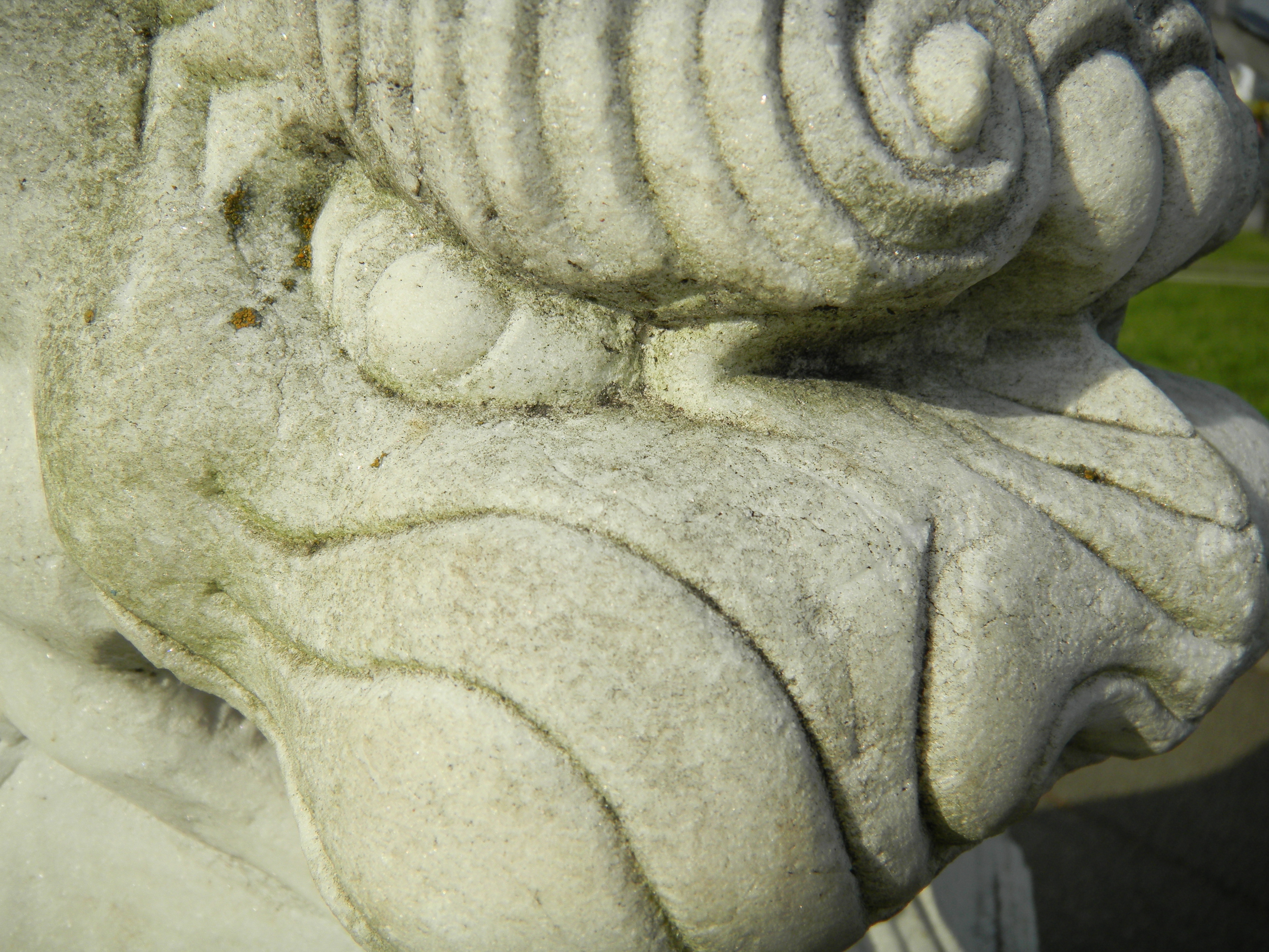 <b>COOLPIX S70 / 4,000×3,000 / 1/324秒 / F7.8 / +0.7EV / ISO80 / プログラムAE / WB:オート / 5mm</b>