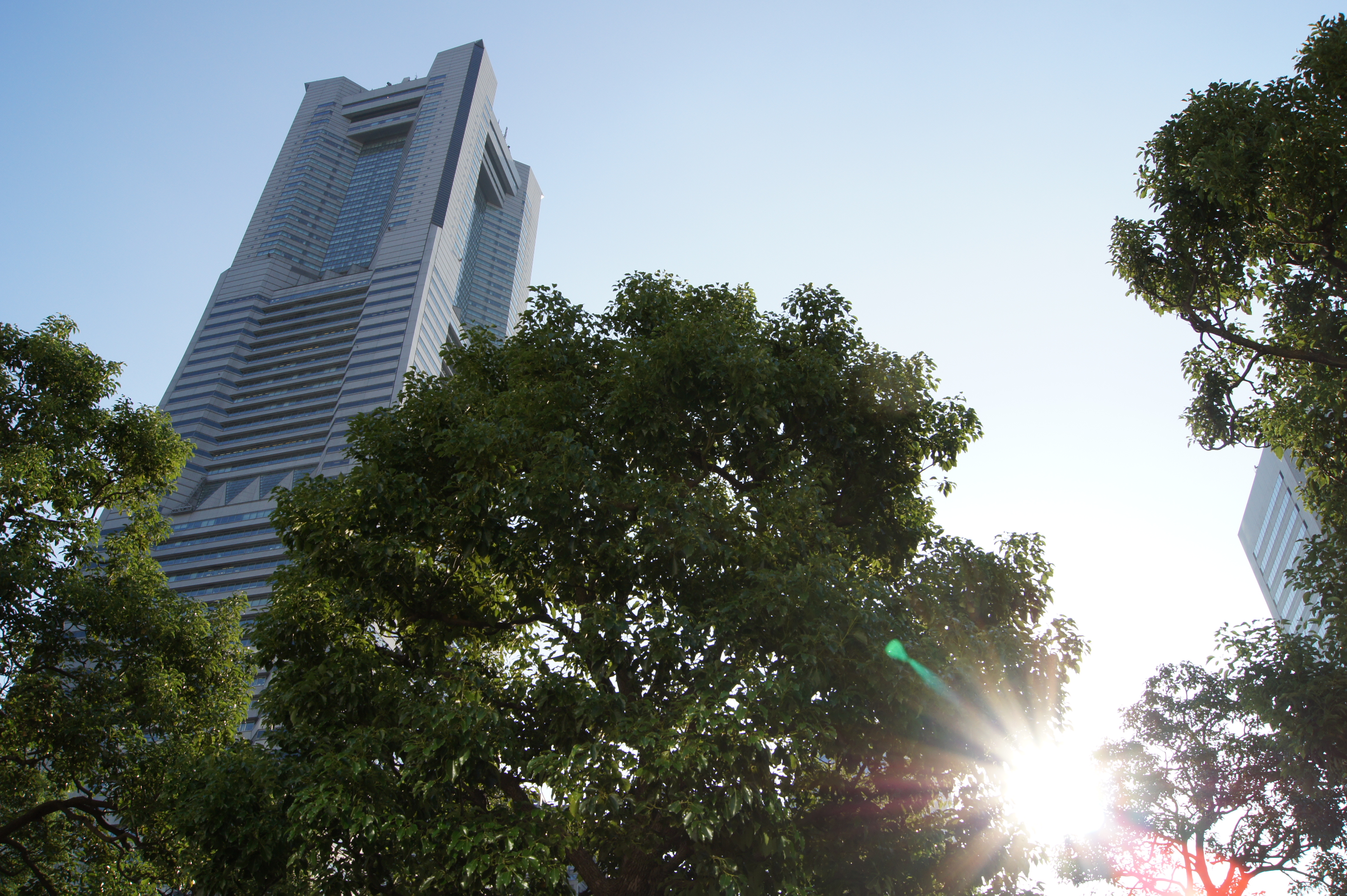 <b>標準<br>α550 / DT 18-55mm F3.5-5.6 SAM / 約5.6MB / 4,592×3,056 / 1/250秒 / F10 / 0EV / ISO200 / WB:オート / 18mm</b>