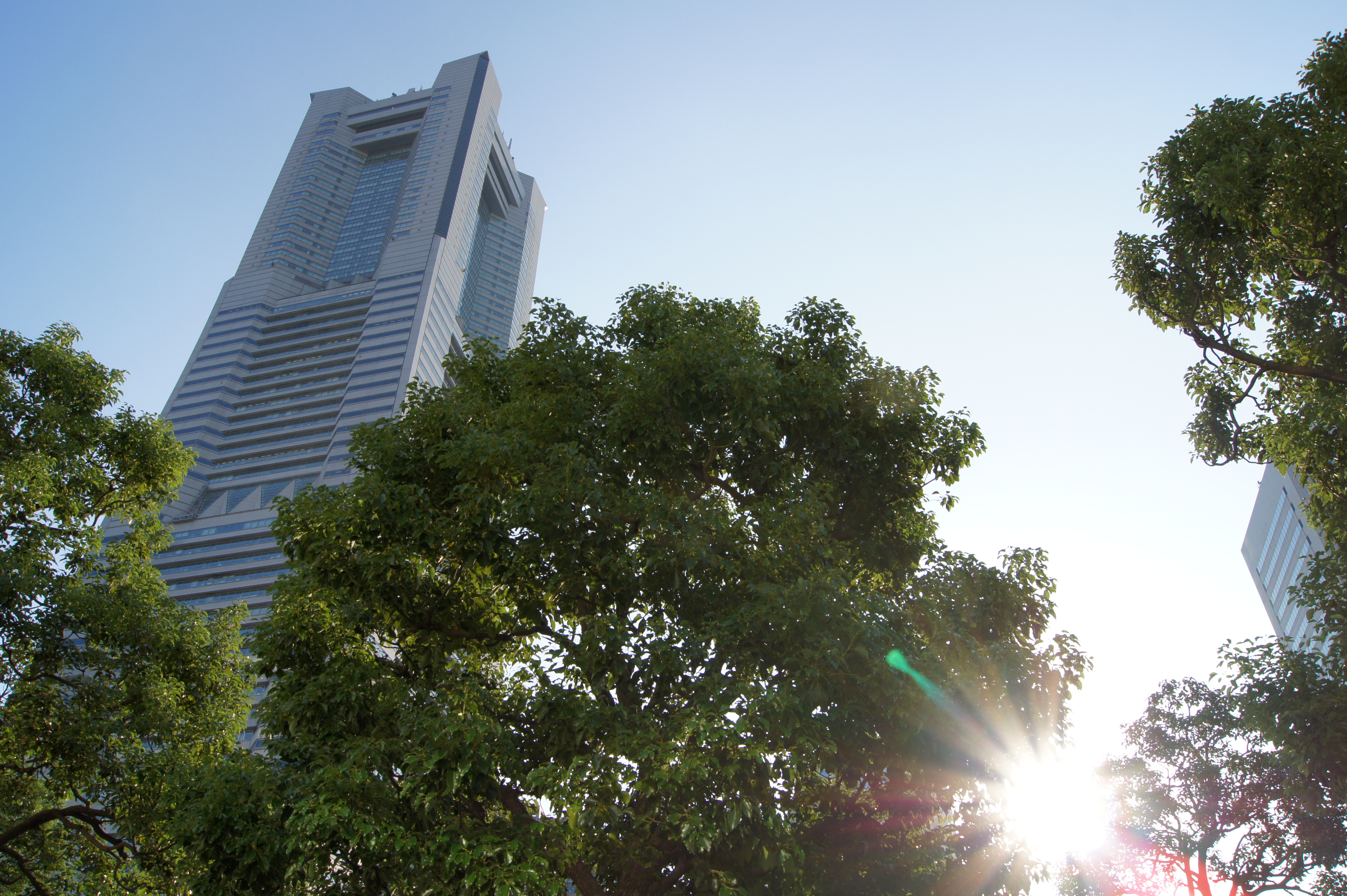 <b>Dレンジオプティマイザー（AUTO）<br>α550 / DT 18-55mm F3.5-5.6 SAM / 約5.8MB / 4,592×3,056 / 1/250秒 / F10 / 0EV / ISO200 / WB:オート / 18mm</b>