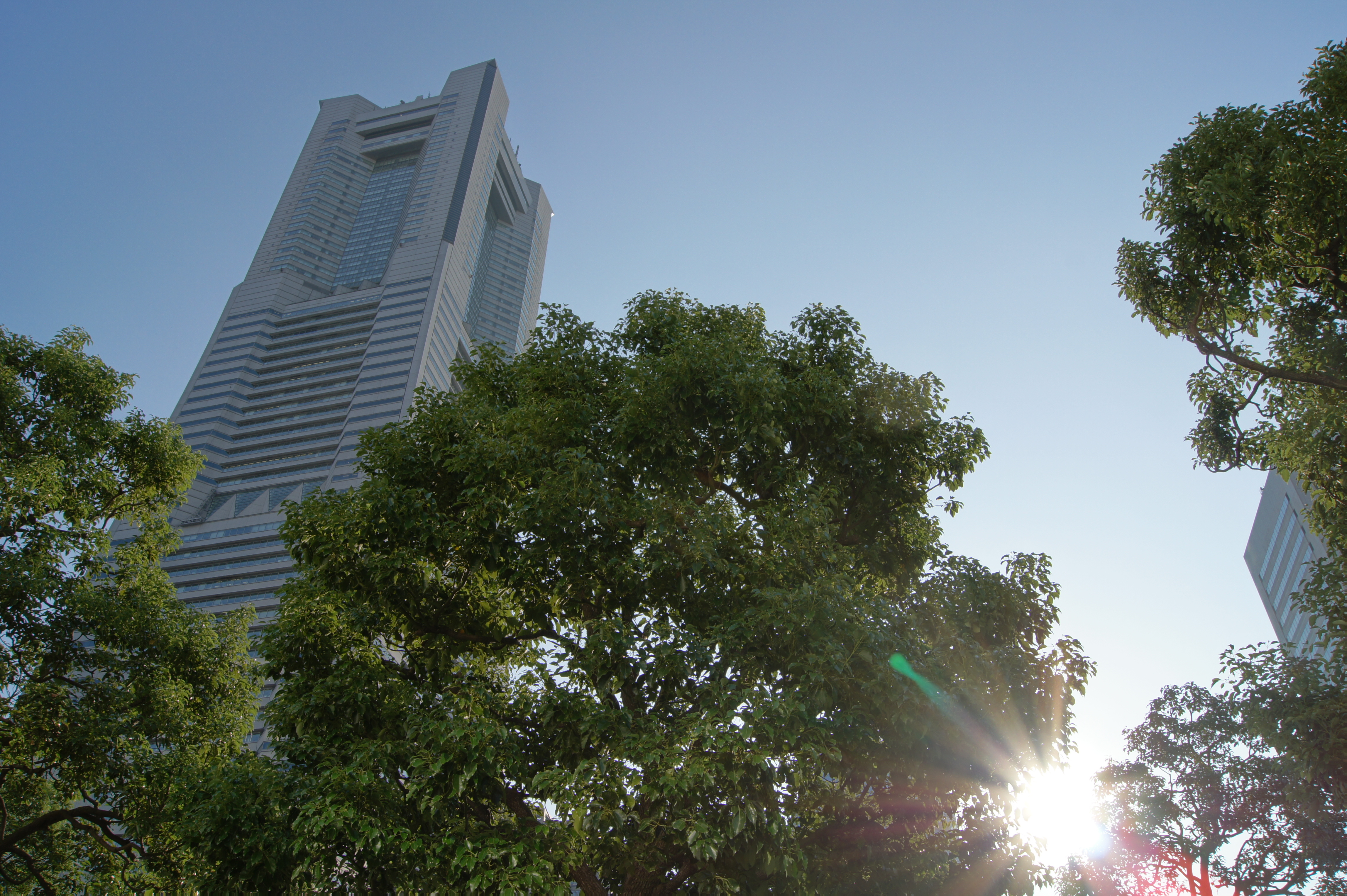 <b>オートHDR（3EV）<br>α550 / DT 18-55mm F3.5-5.6 SAM / 約5.7MB / 4,592×3,056 / 1/250秒 / F10 / 0EV / ISO200 / WB:オート / 18mm</b>