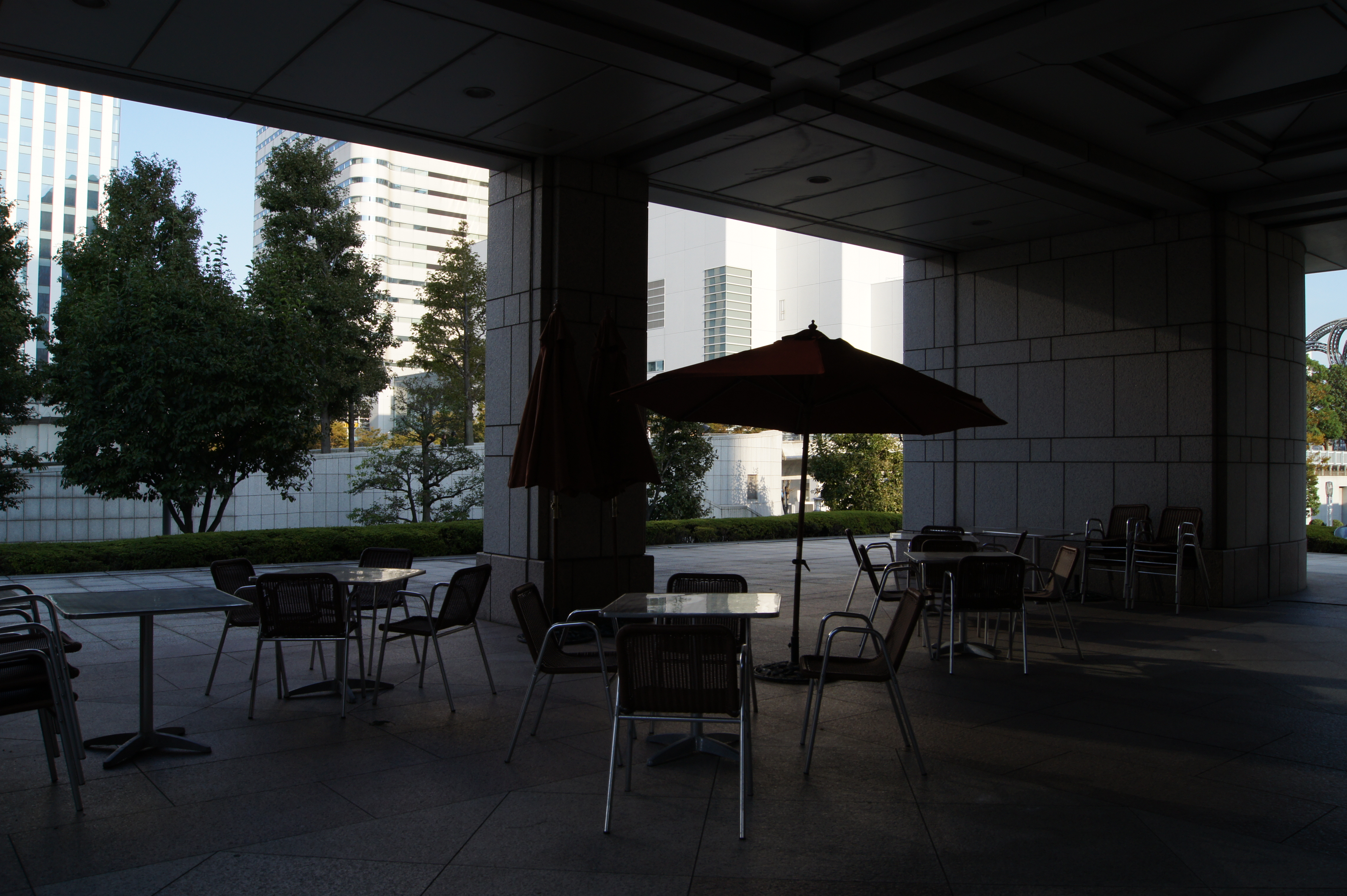 <b>標準<br>α550 / DT 18-55mm F3.5-5.6 SAM / 約5.6MB / 4,592×3,056 / 1/250秒 / F10 / 0EV / ISO200 / WB:オート / 18mm</b>