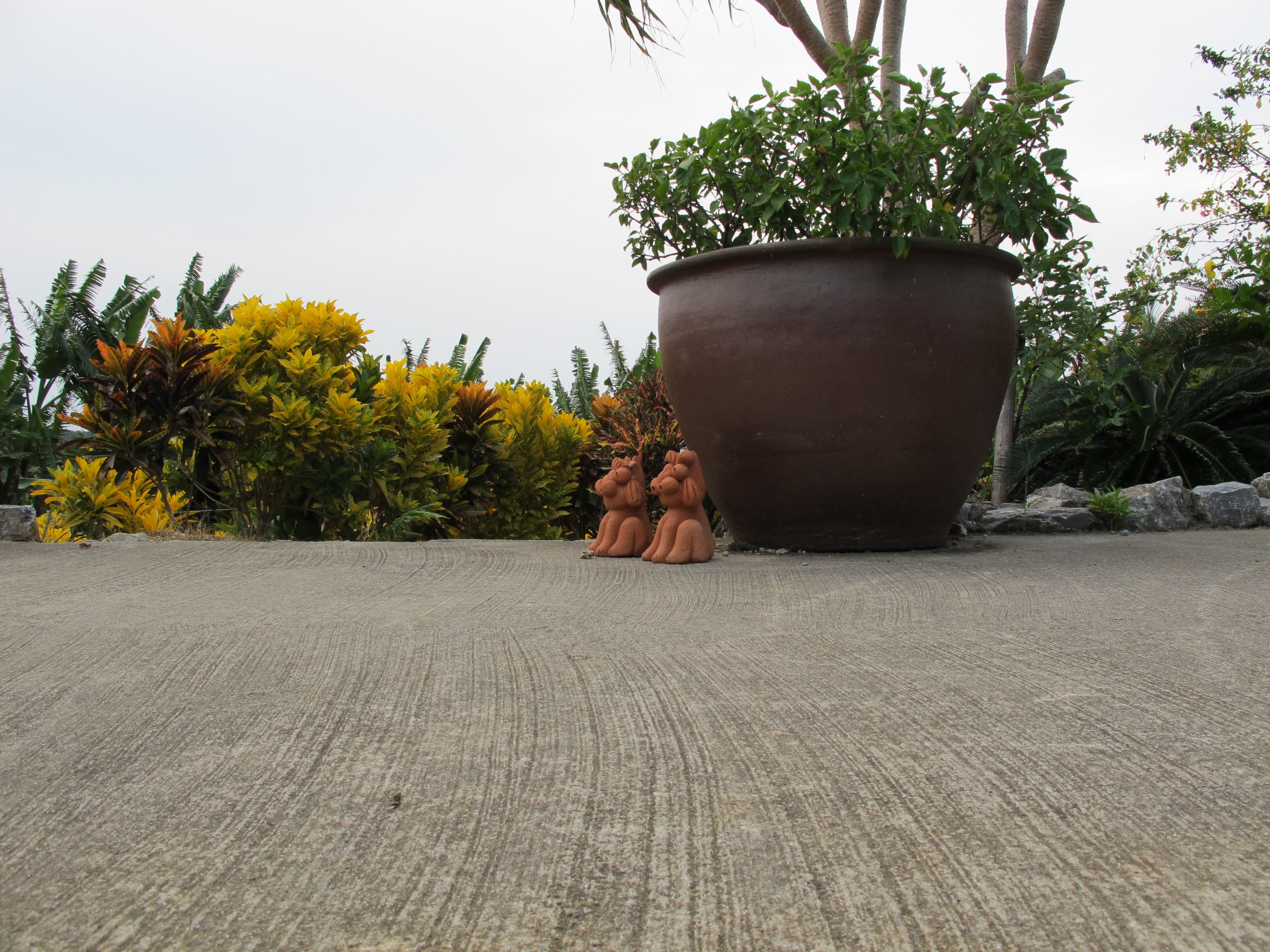 <b>広角端（28mm相当）<br>PowerShot G11 / 3,648×2,736 / 1/60秒 / F4 / 0EV / ISO160 / オート / WB:オート / 6mm</b>