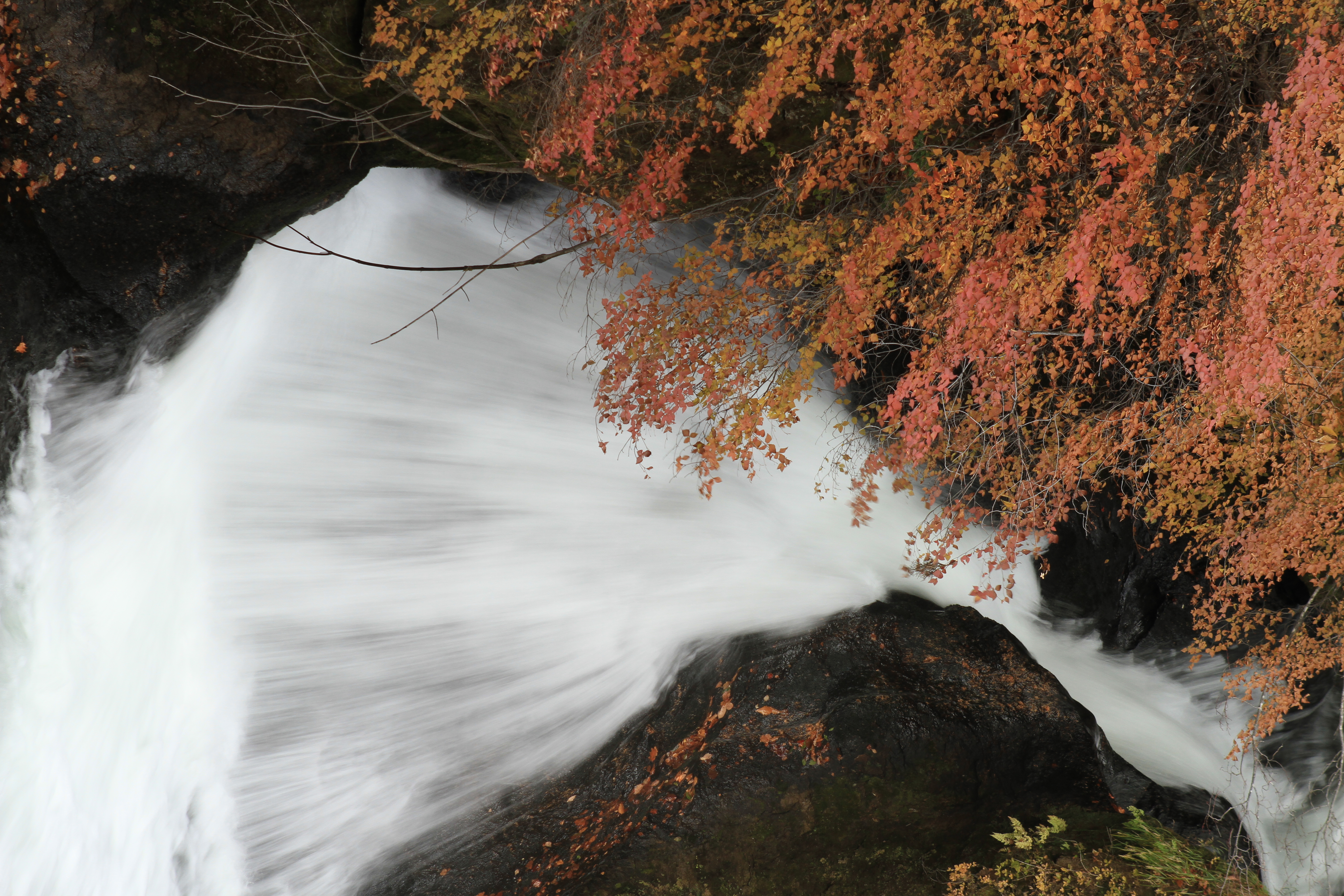 <b>定番の滝と紅葉の取り合わせ。さらにPLフィルターも使っています。風によるブレを防ぐため、ISO感度を200にしました<br>EOS 7D / EF 24-70mm F2.8 L USM / 5,184×3,456ピクセル / 1/10秒 / F8 / -1.3EV / ISO200 / 70mm</b>