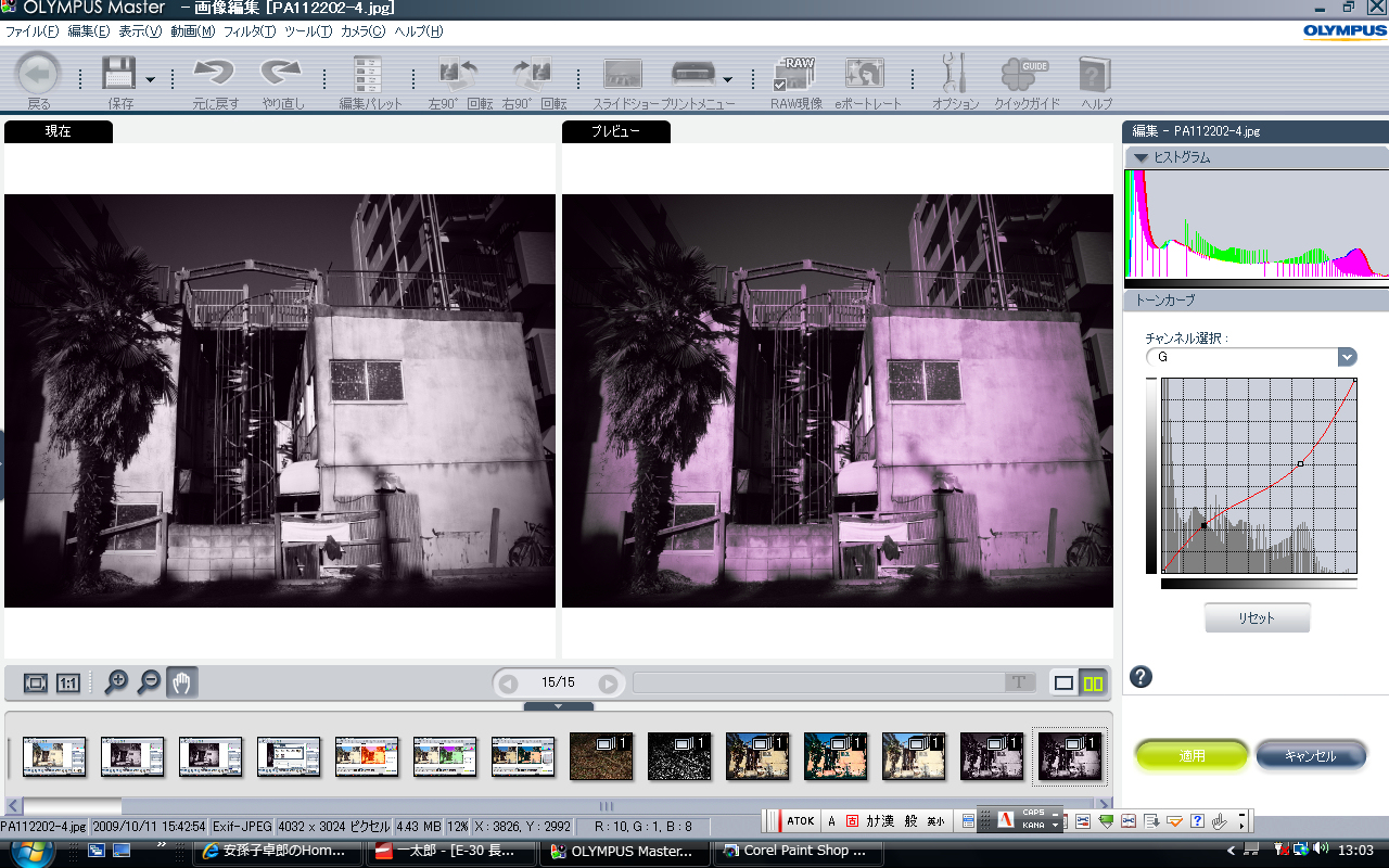<b>Gチャンネルのみトーンカーブで編集</b>
