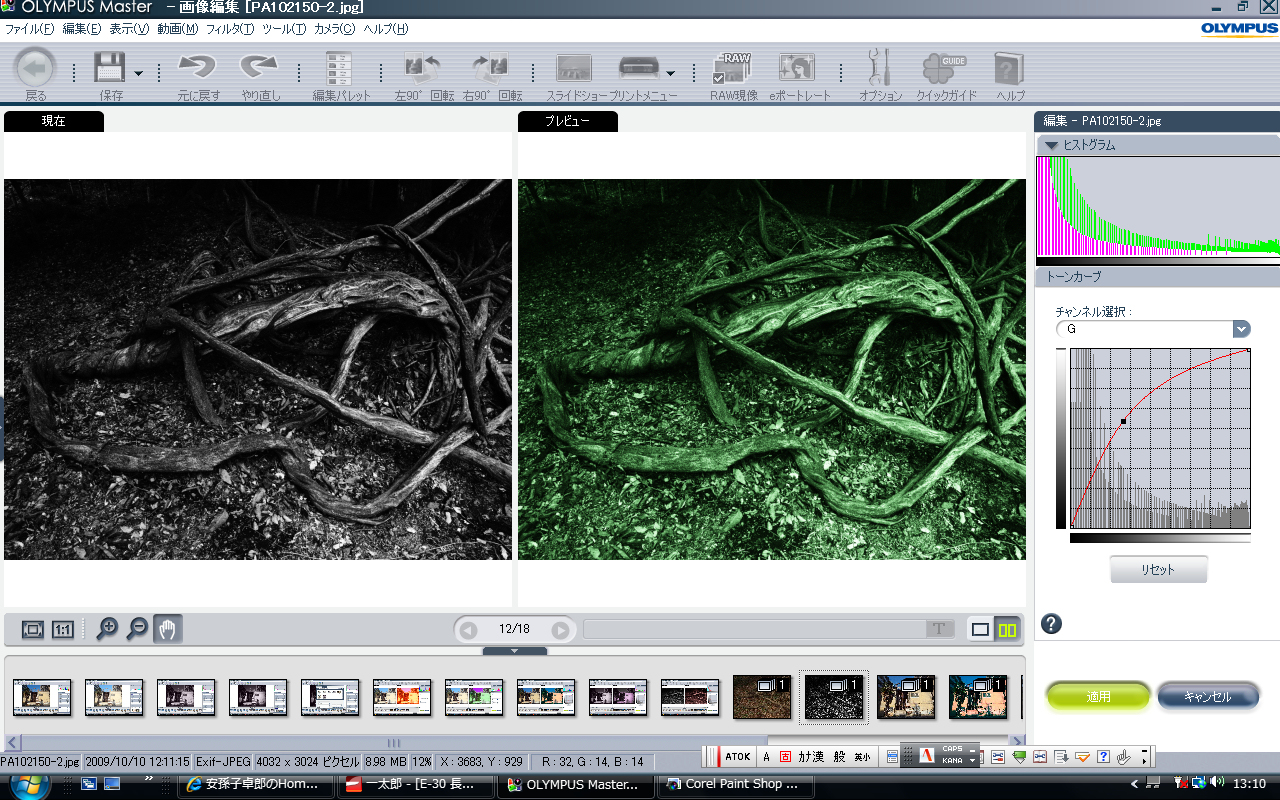 <b>ラフモノクロームのGチャンネルを編集</b>