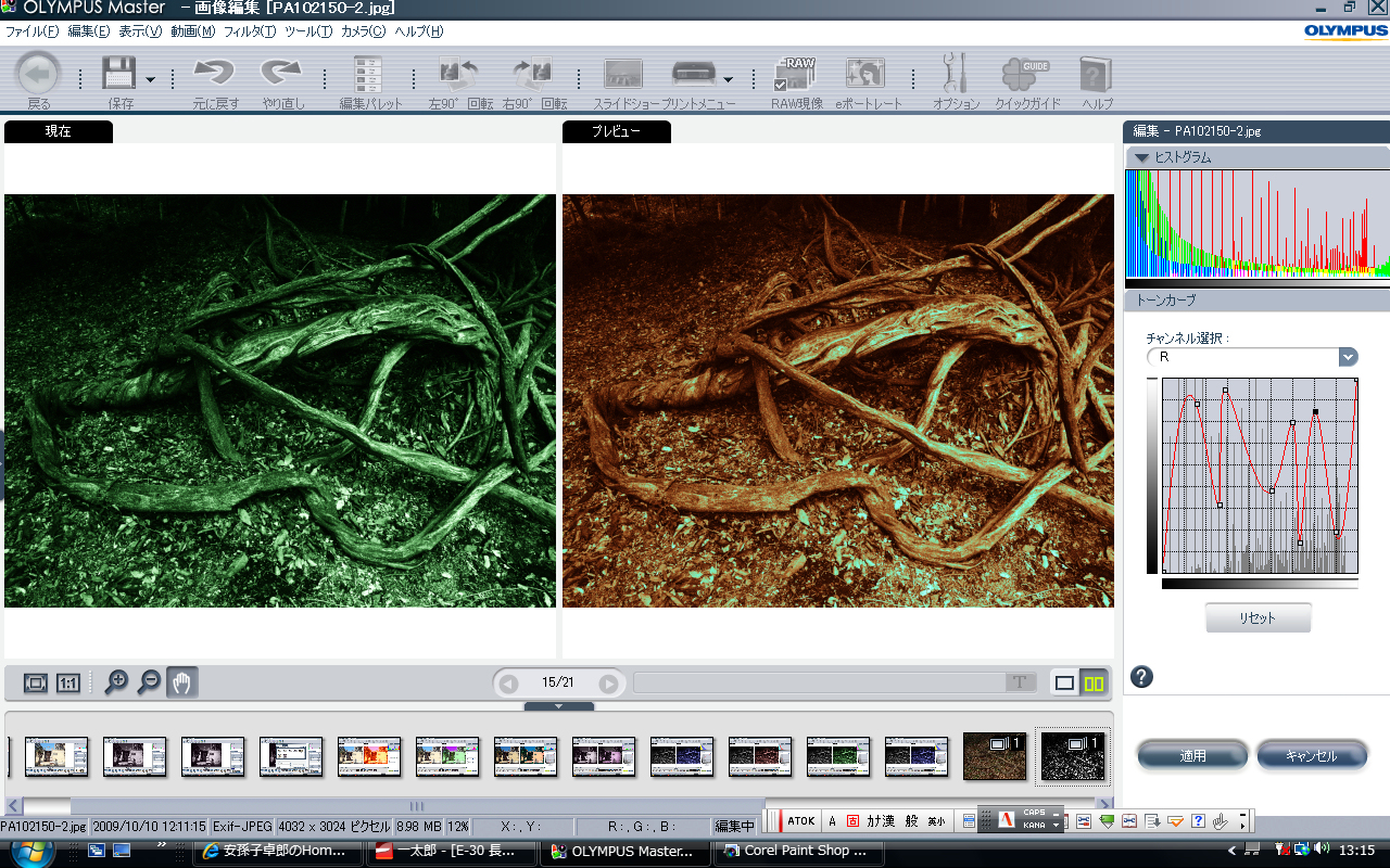 <b>ほかの調整機能を組み合わせてさらに派手に変化させた例</b>