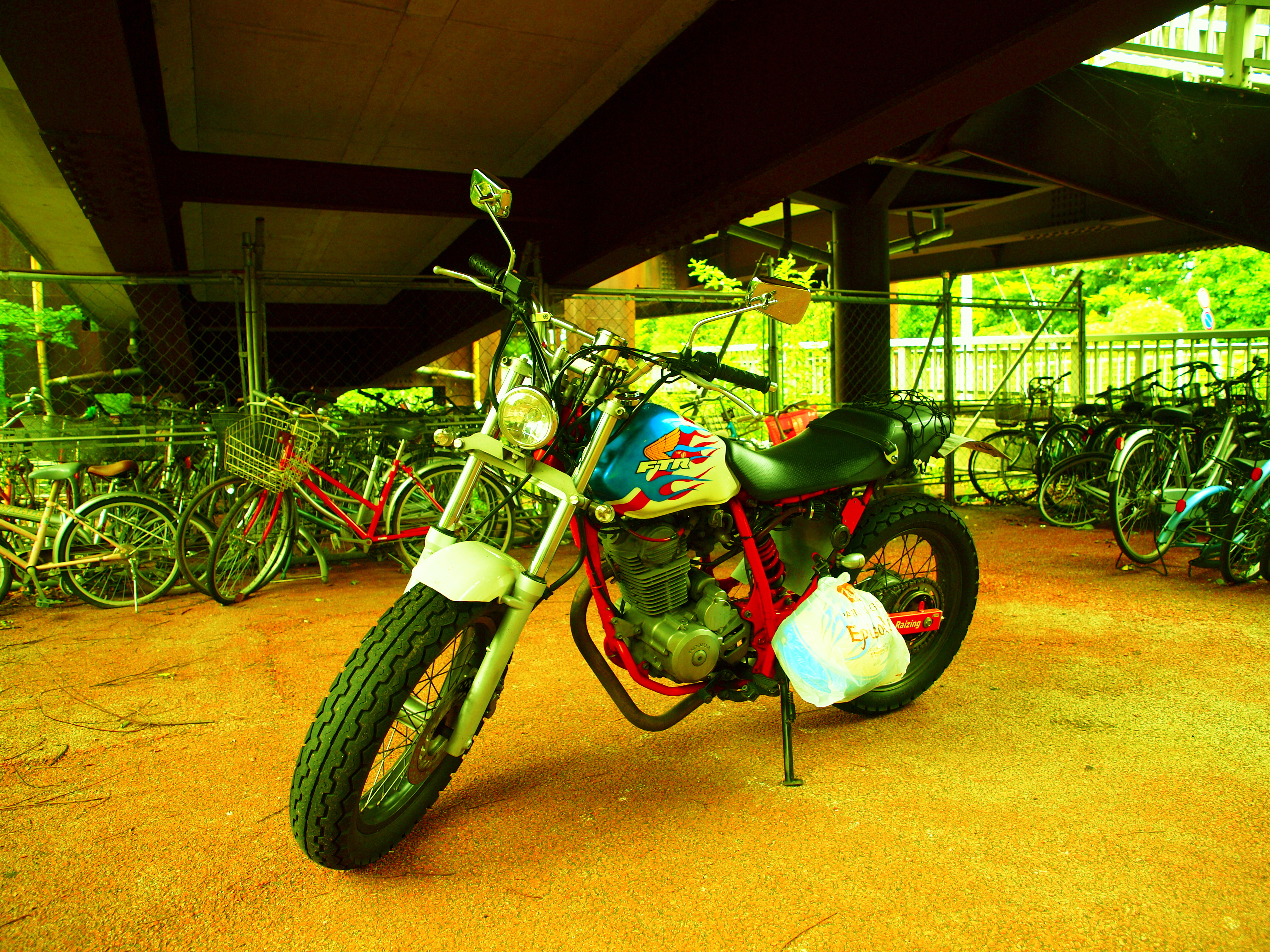 <b>さらにカラーバランス:緑50・青-75</b>