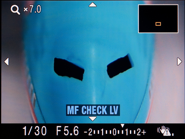 <b>7倍に拡大したところ。もちろん、この状態で十字キーによって拡大する範囲を移動させることもできる</b>