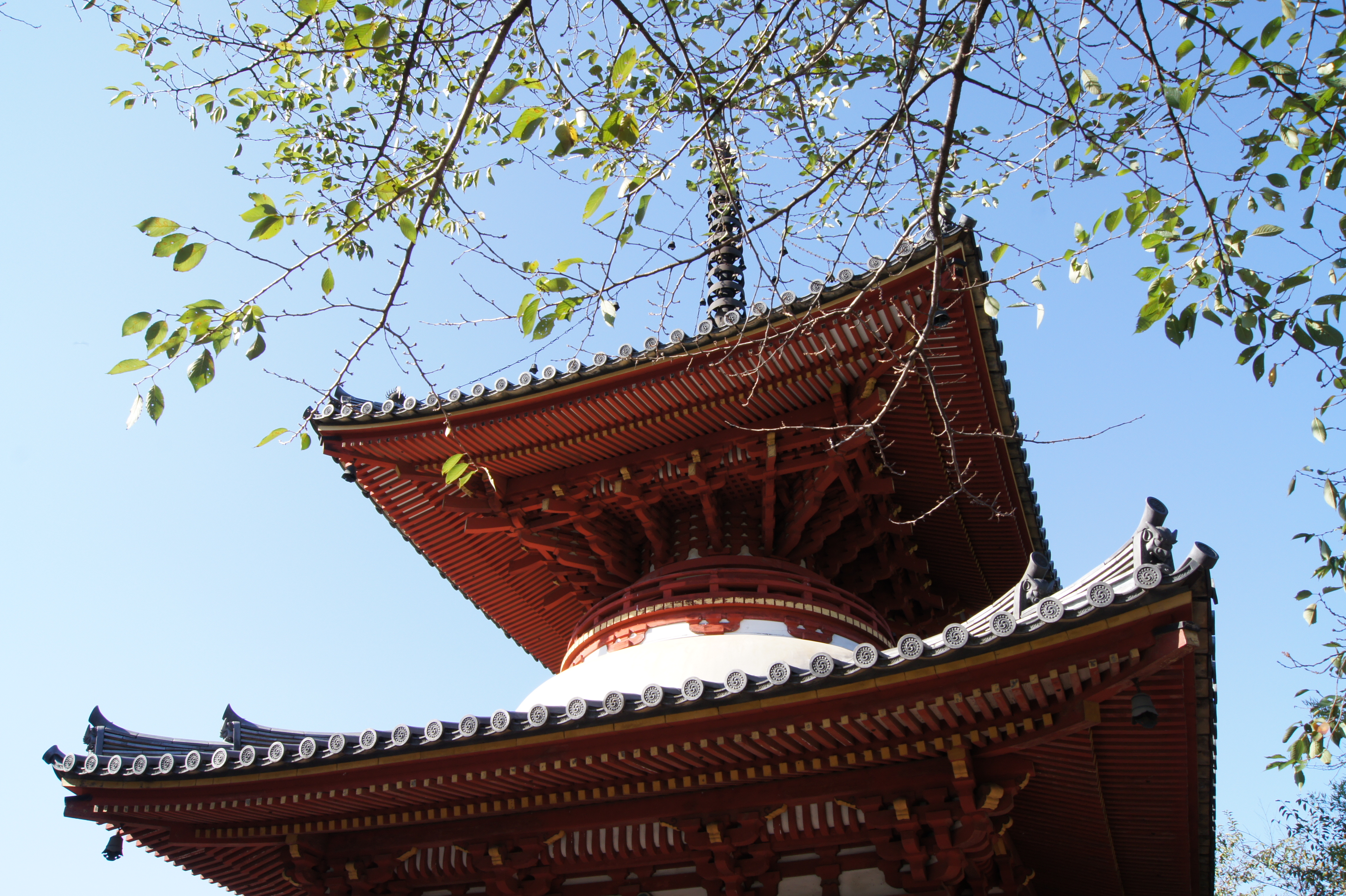 <b>通常撮影<br>α550 / DT 18-55mm F3.5-5.6 SAM / 4,592×3,056 / 1/80秒 / F11 / 0EV / ISO200 / WB:オート / 18mm（27mm相当）</b>