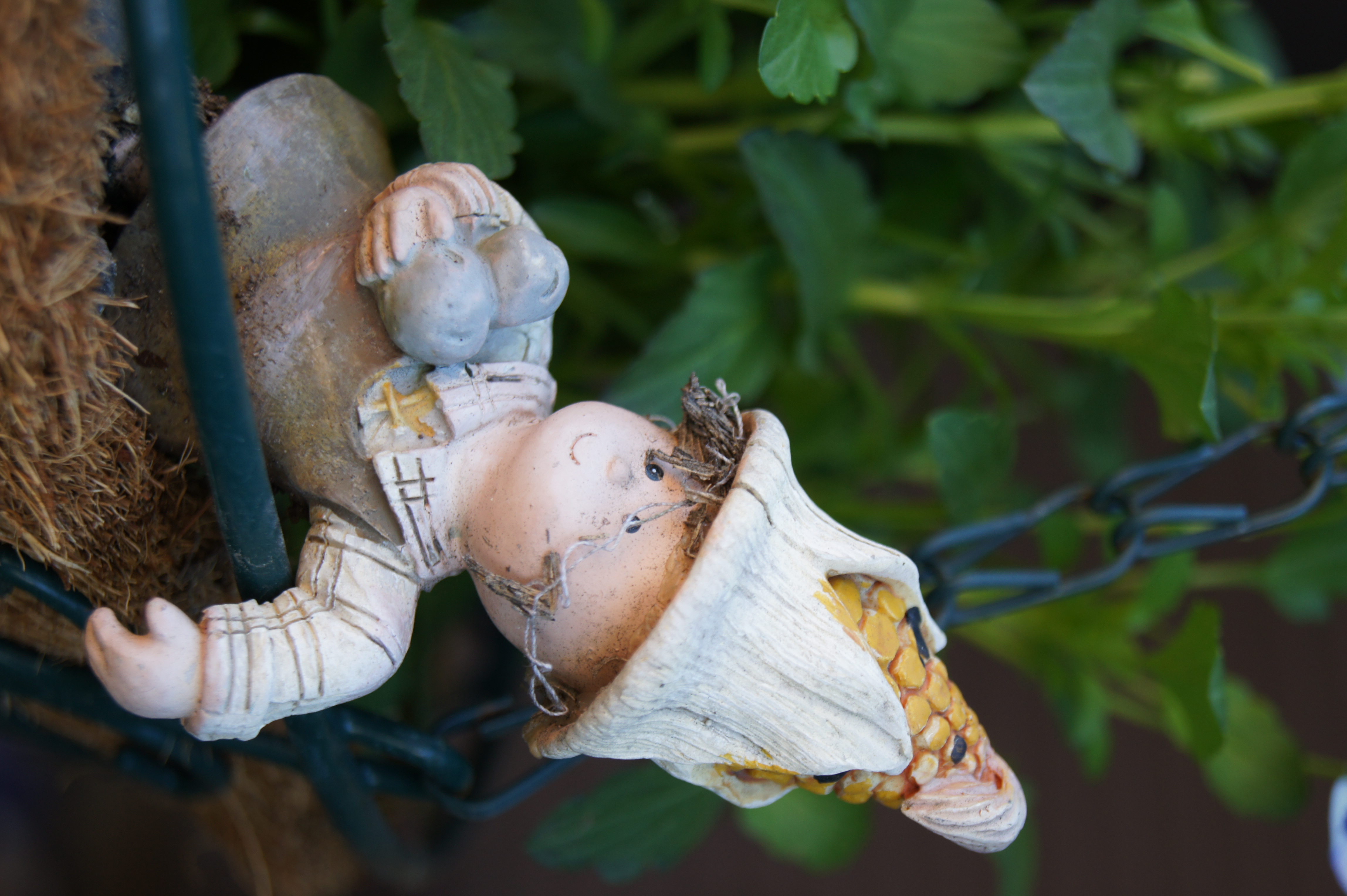 <b>上下可動式液晶モニターは、横位置は便利なのに縦位置は不便なまま。なので、よけいに口惜しいからフリーアングルが欲しいわけです<br>α550 / DT 18-55mm F3.5-5.6 SAM / 4,592×3,056 / 1/80秒 / F5.6 / +0.7EV / ISO200 / WB:オート / 55mm（82.5mm相当）</b>