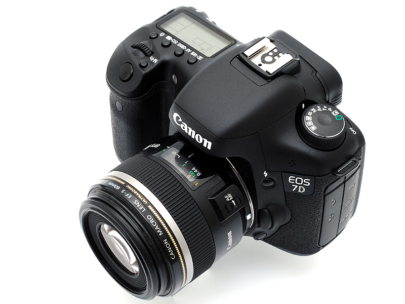 <b>同じく、花と木の作例に使用した「EF-S 60mm F2.8 Macro USM」を装着したところ</b>