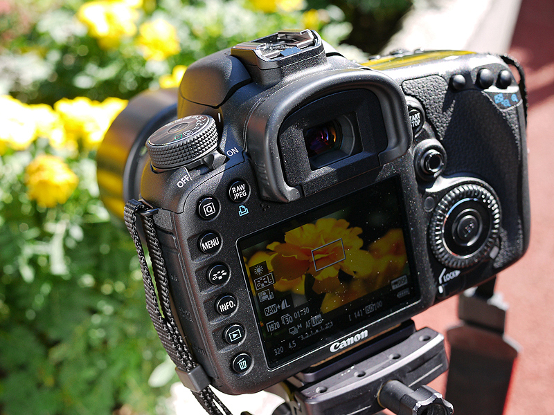 <b>撮影中の様子</b>