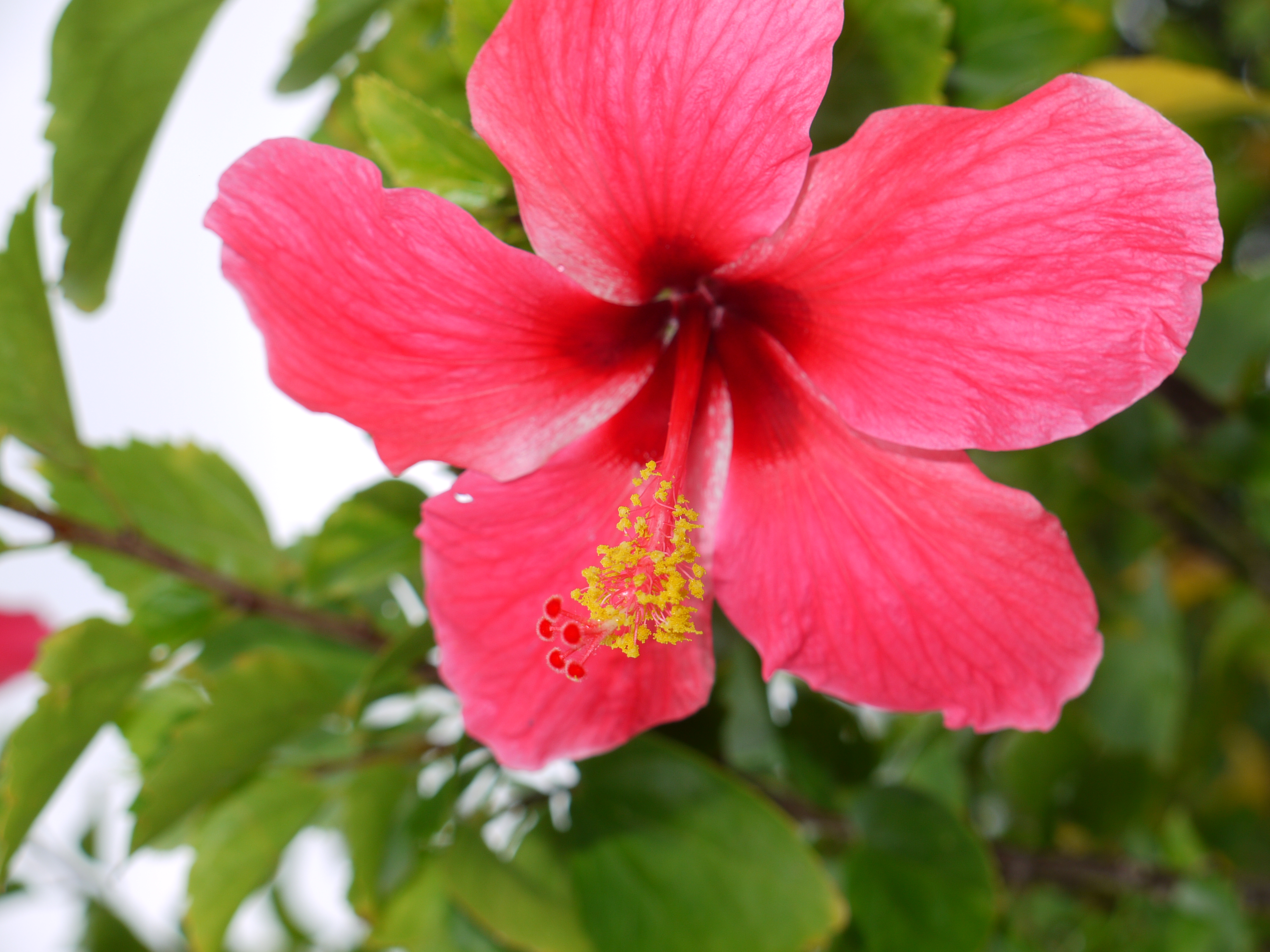 <b>DMC-GF1 / LUMIX G VARIO 14-45mm F3.5-5.6 ASPH. MEGA O.I.S. / 3,000×4,000 / 1/160秒 / F6.3 / 0EV / ISO100 / プログラムAE / WB:オート / 45mm / フィルムモード：スタンダード</b>